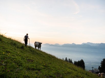 Die Wanderung führt vorbei an Alpweiden, © Tourismus Hörnerdörfer - F. Kjer
