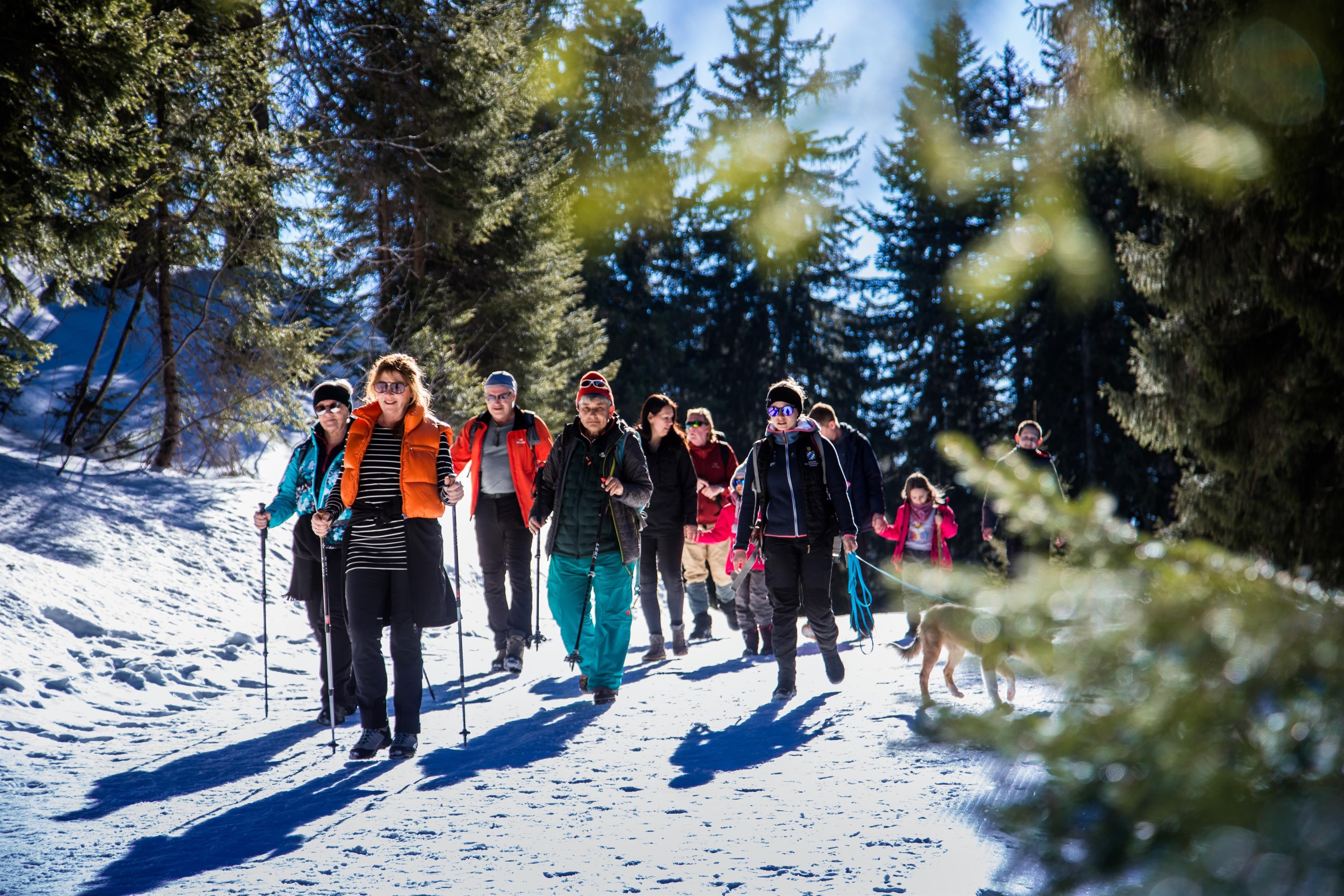 Gruppe von Winterwanderern auf verschneitem Weg in Balderschwang. Vorn eine Frau in orangefarbener Weste, mit Stöcken.