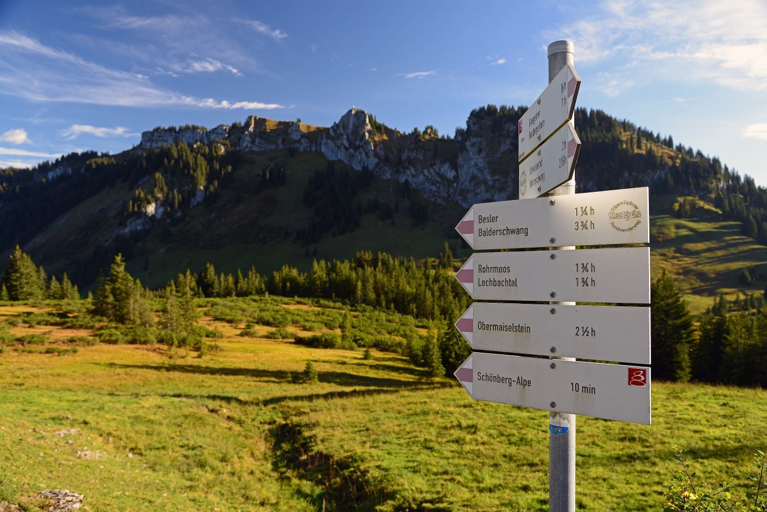 Wander-Wegweiser im Rohrmoos vorm Gebirge