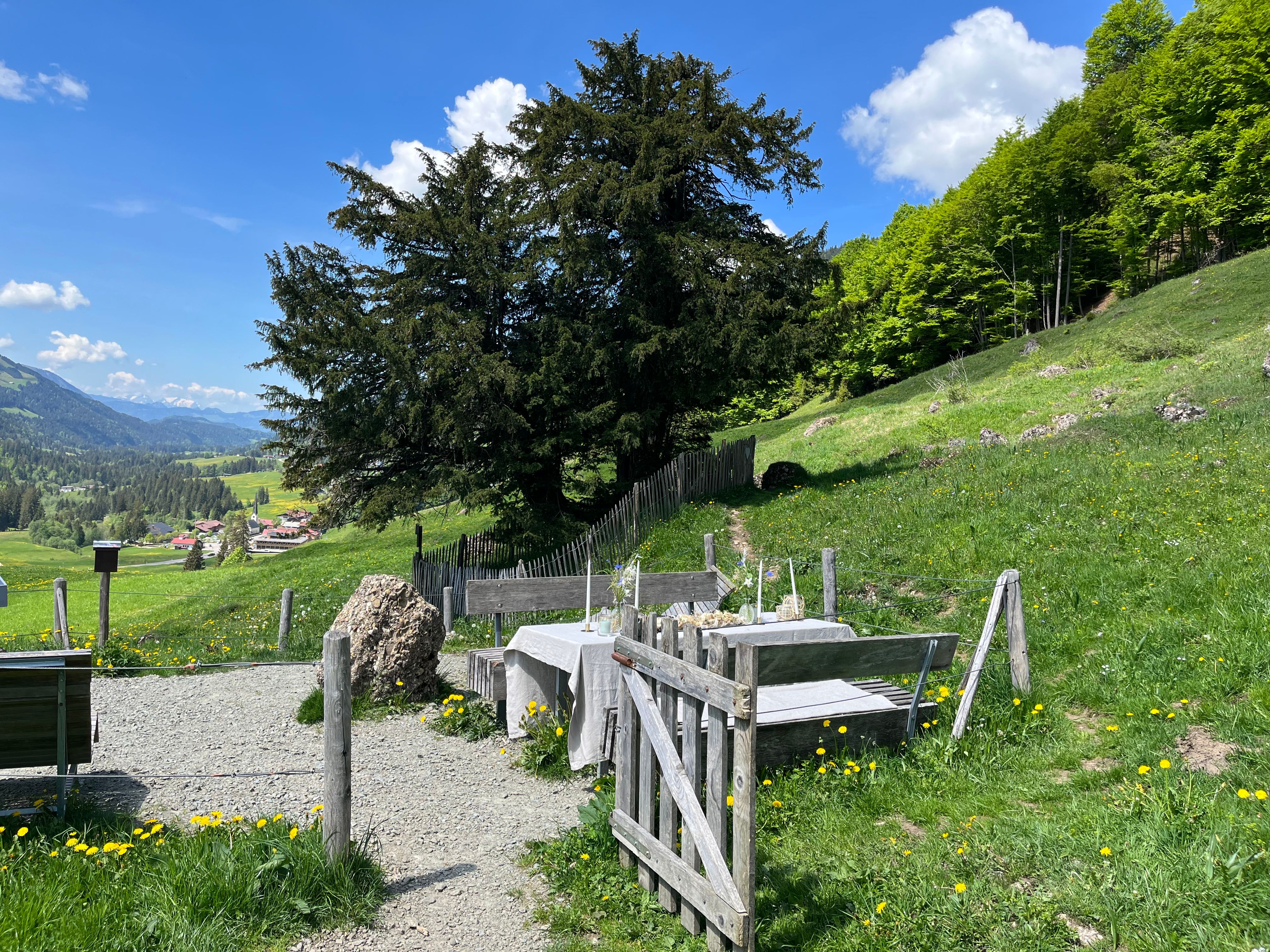 Im Hintergrund das Naturwunder Balderschwangs, die 2000-jährige Eibe. Im Vordergrund der festlich dekorierte Trautisch. Blick auf Balderschwang.