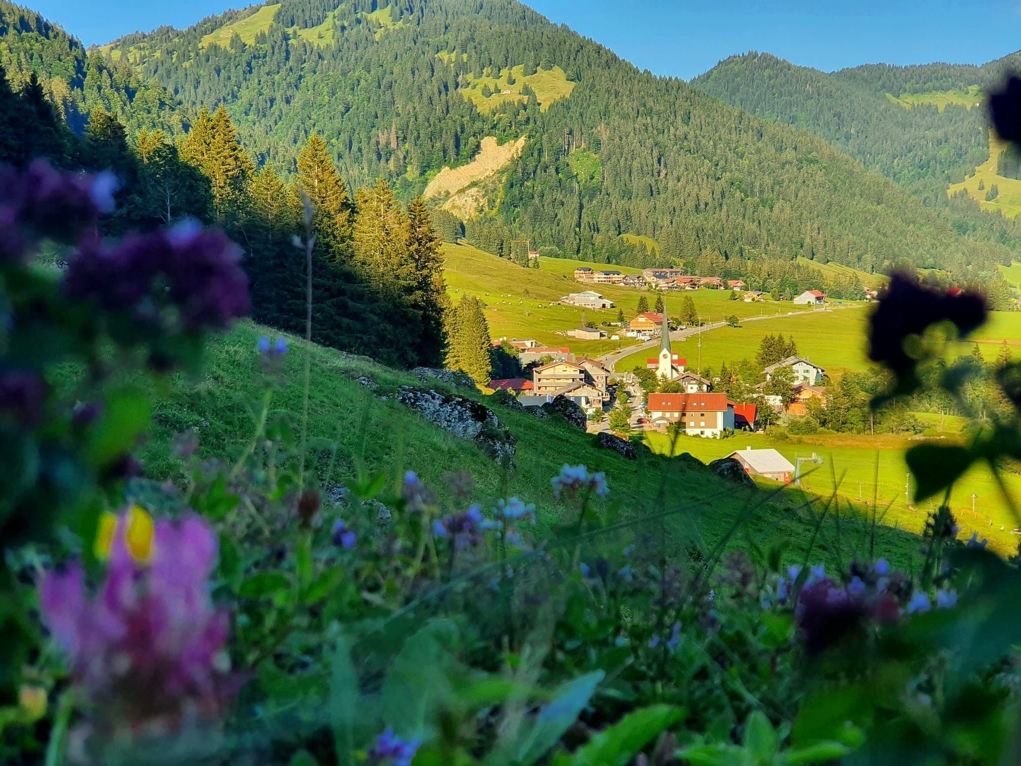 Vom Wanderweg aus sind im Tal Häuser, ein Kirchturm und grüne Berge zu sehen, umrahmt von Blumen.