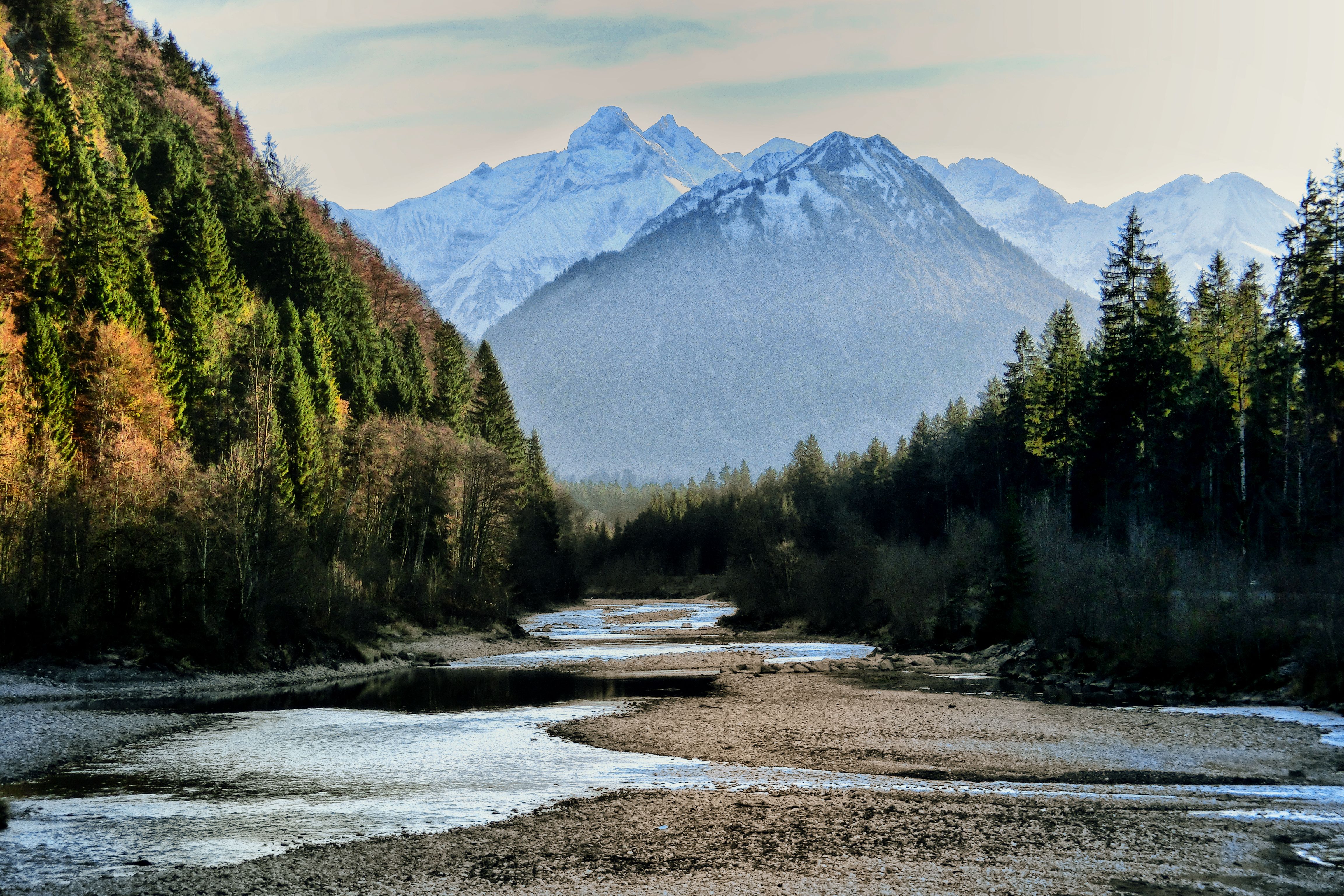 Herbstlicher Wald am Rande der Iller und schneebedeckte Berge im Hintergrund