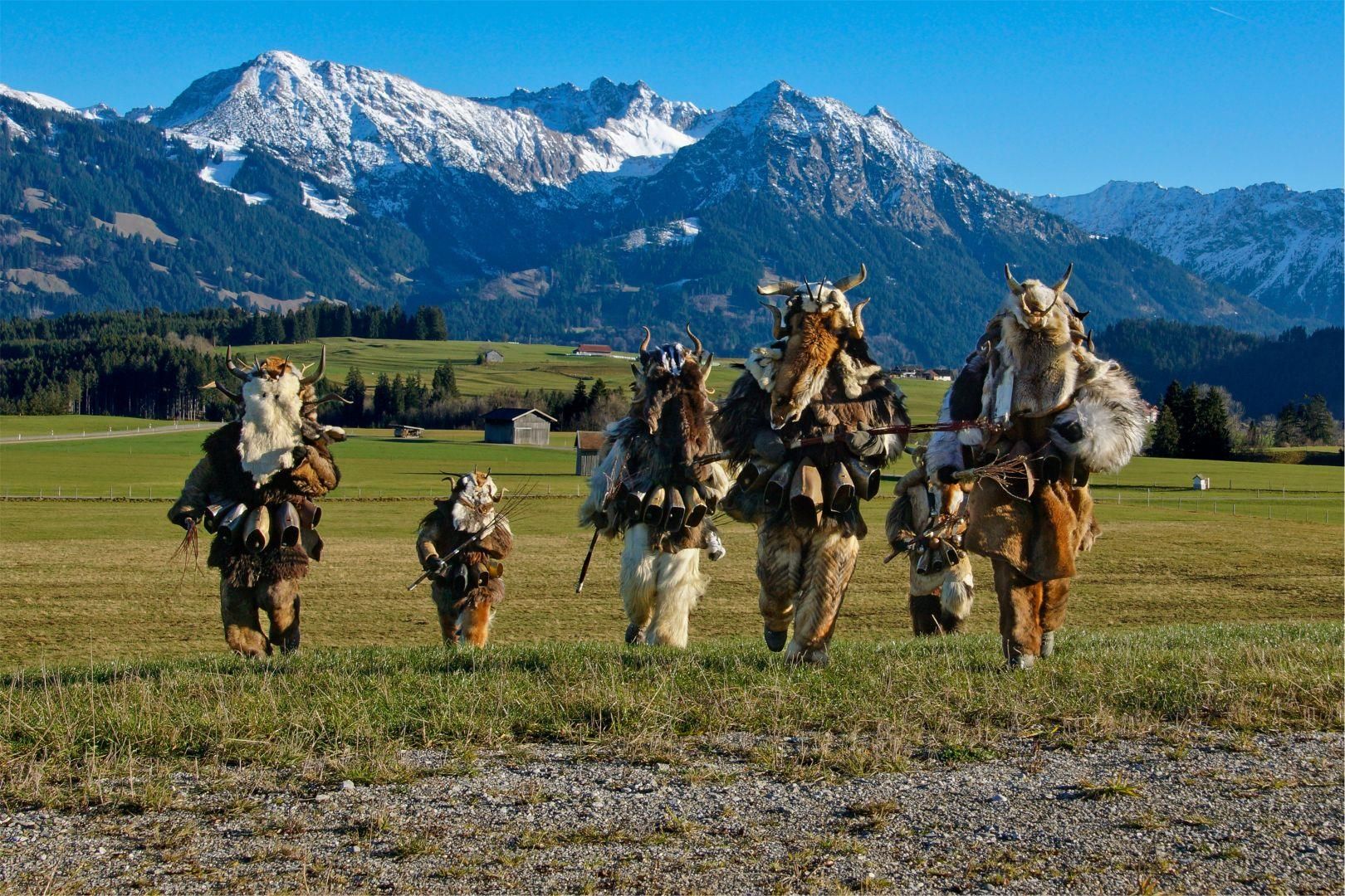 Fünf Klausen mit Fellkostümen und Masken marschieren über eine grüne Wiese vor schneebedeckten Bergen.