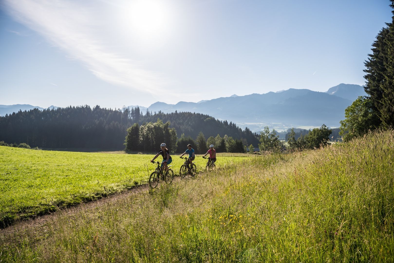 Radfahrer auf einem Forstweg  entlang einer Wiese