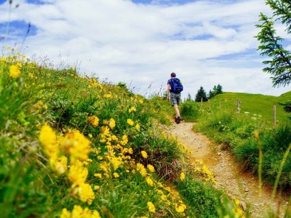 Wanderung im Frühling durch den Naturpark Nagelfluhkette im Allgäu. Wanderurlaub in Bayern., © Tourismus Hörnerdörfer, ProVisionMedia