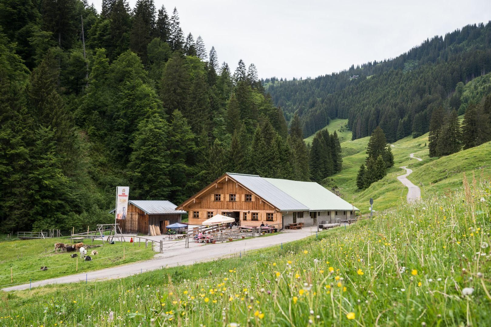 Die Alpe Zunkleiten am Fuße des Bolgentals bei Bolsterlang ist eine Berghütte mit Terrasse, ein Wanderweg führt hinauf.