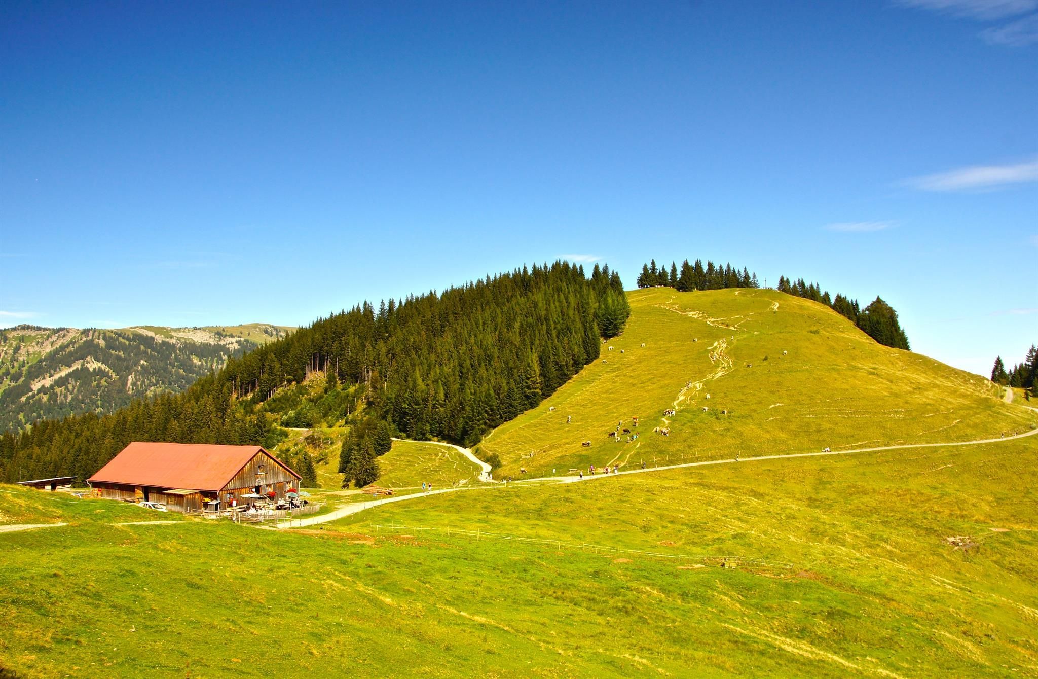 Eine Landschaftsaufnahme zeigt die Alpe Fahnengehren in Ofterschwang. Die Berghütte mit rotem Dach liegt am Fuße eines grünen Hügels.