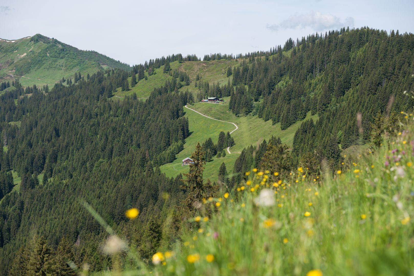 Berghaus Schwaben in Bolsterlang mit Wanderweg durch Berglandschaft.