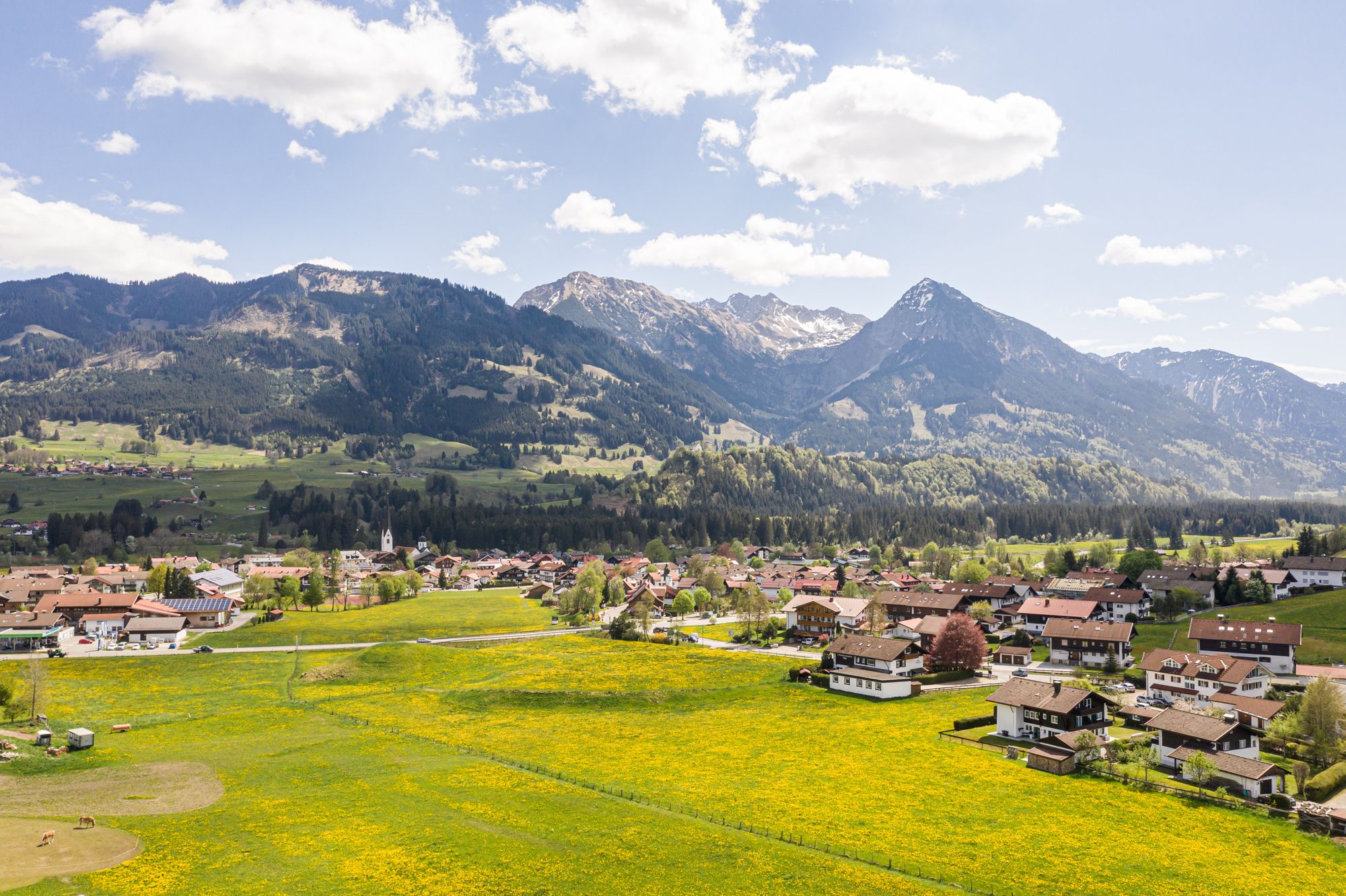 Blick vom Imbergweg auf Fischen und das Rubihorn mit gelben Löwenzahnwiesen