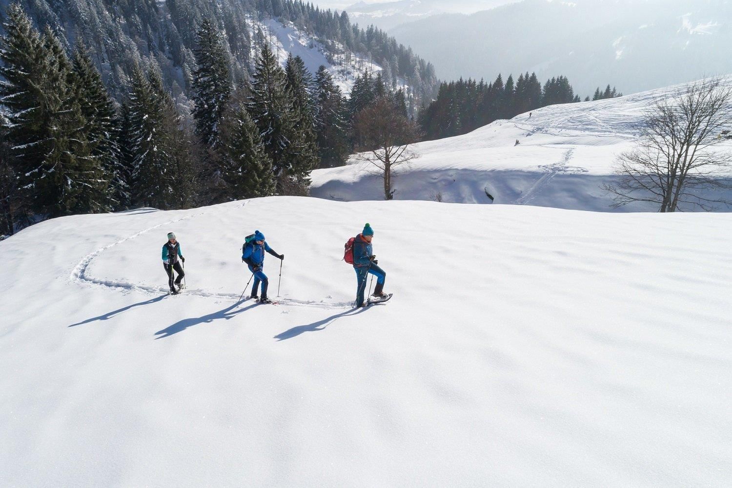 Drei Schneeschuhwanderer mit Rucksäcken und Stöcken gehen durch eine weite, unberührte Schneelandschaft.