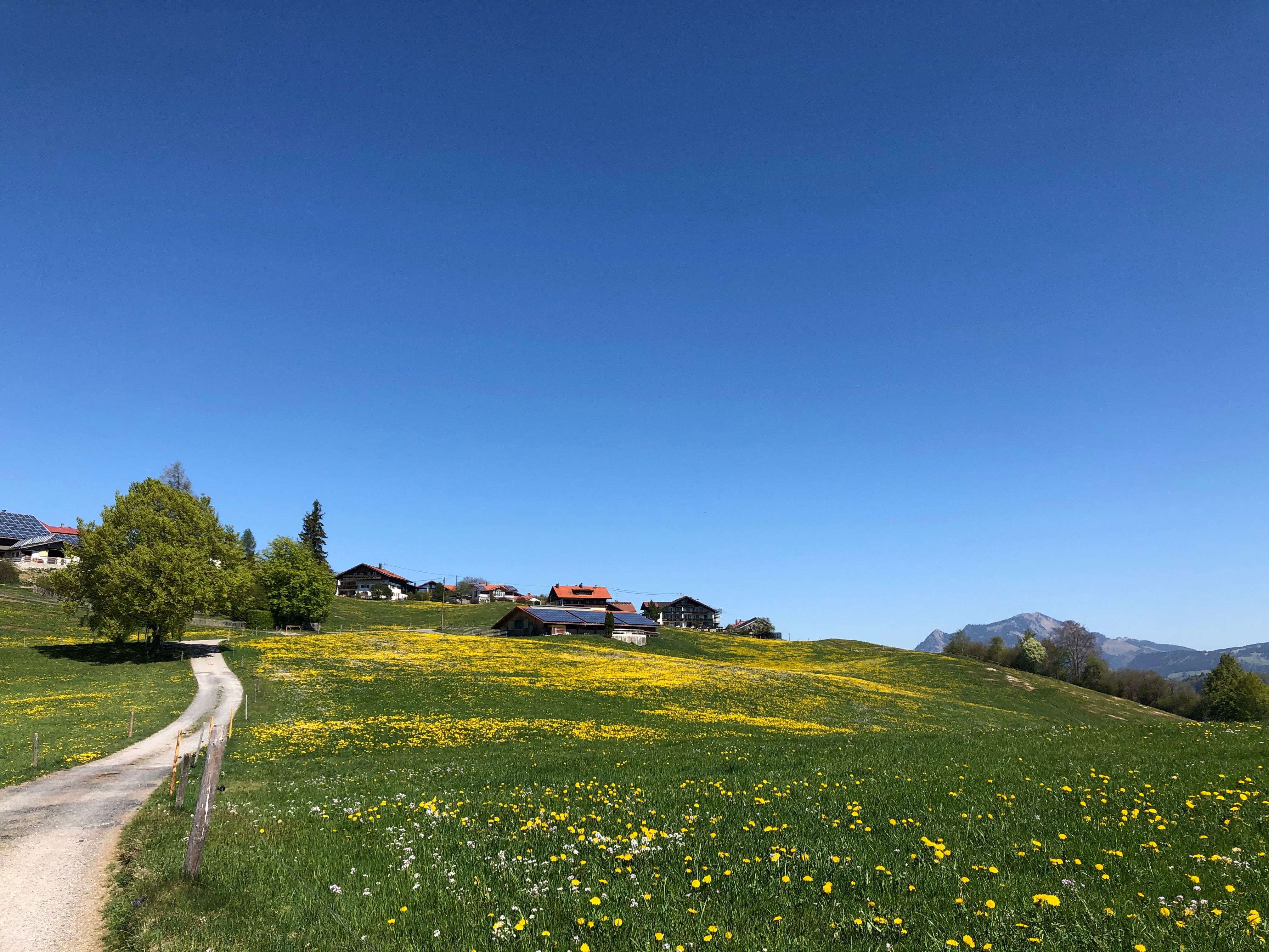 Blick nach Maderhalm bei Fischen im Allgäu