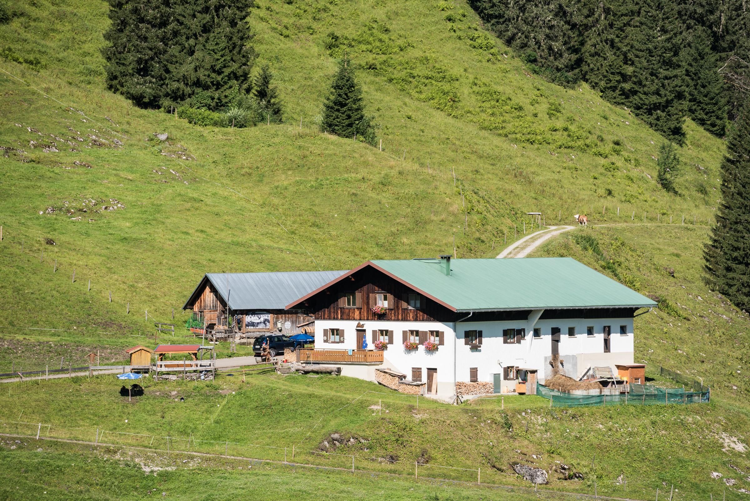Die Alpe Dinjörgen, ein weißes Haus mit grünem Dach, liegt auf einem grünen Hang. Eine asphaltierte Straße führt vorbei. Bewaldete Hügel steigen im Hintergrund an.