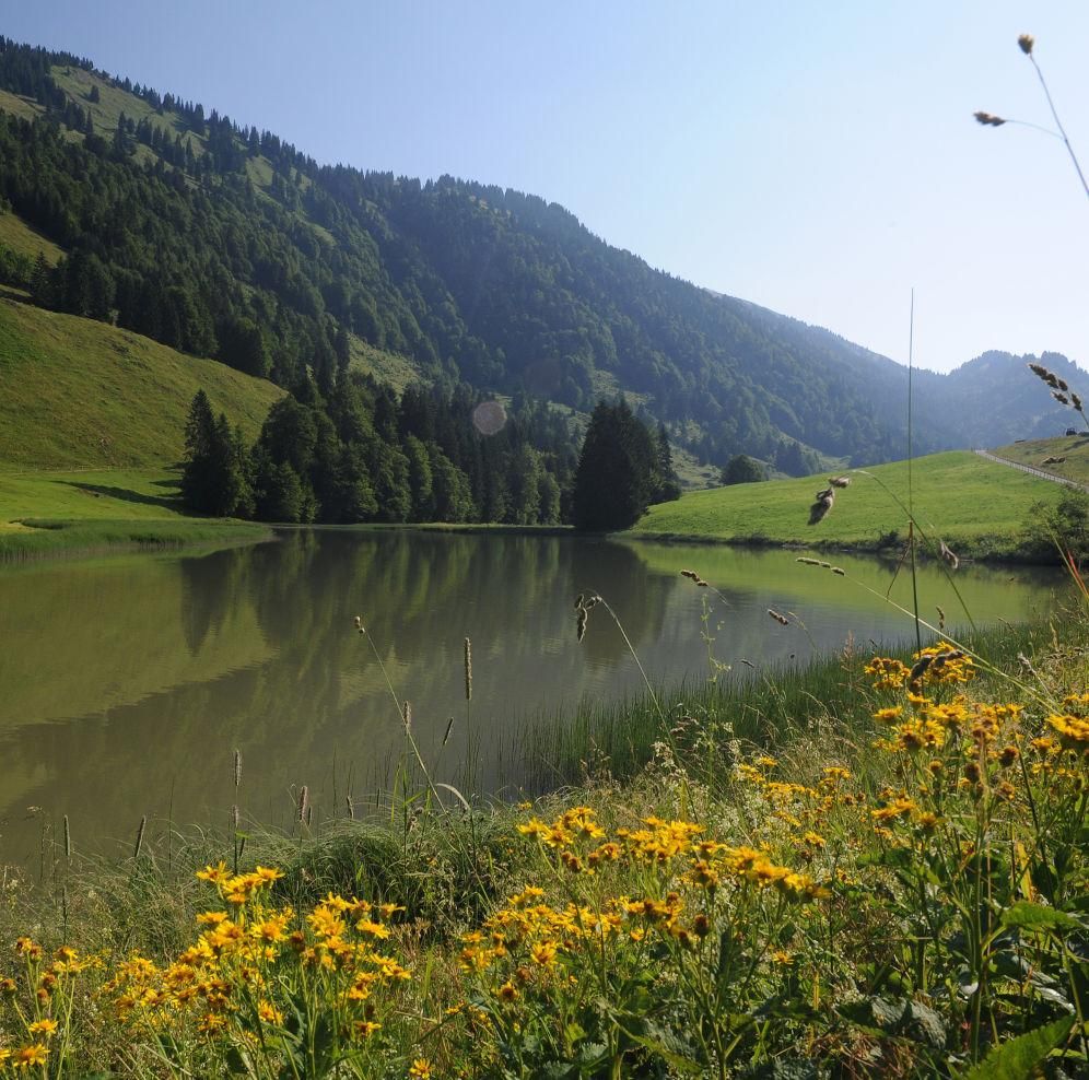 Ein See im Lecknertal mit Blumenwiese und Berglandschaft im Hintergrund