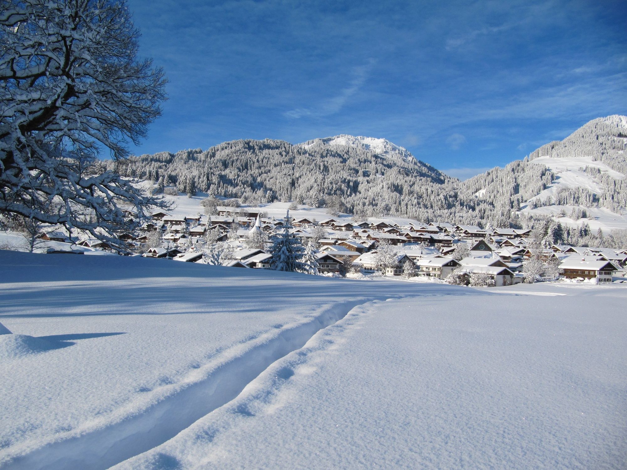 Winterliches Panorama auf Obermaiselstein