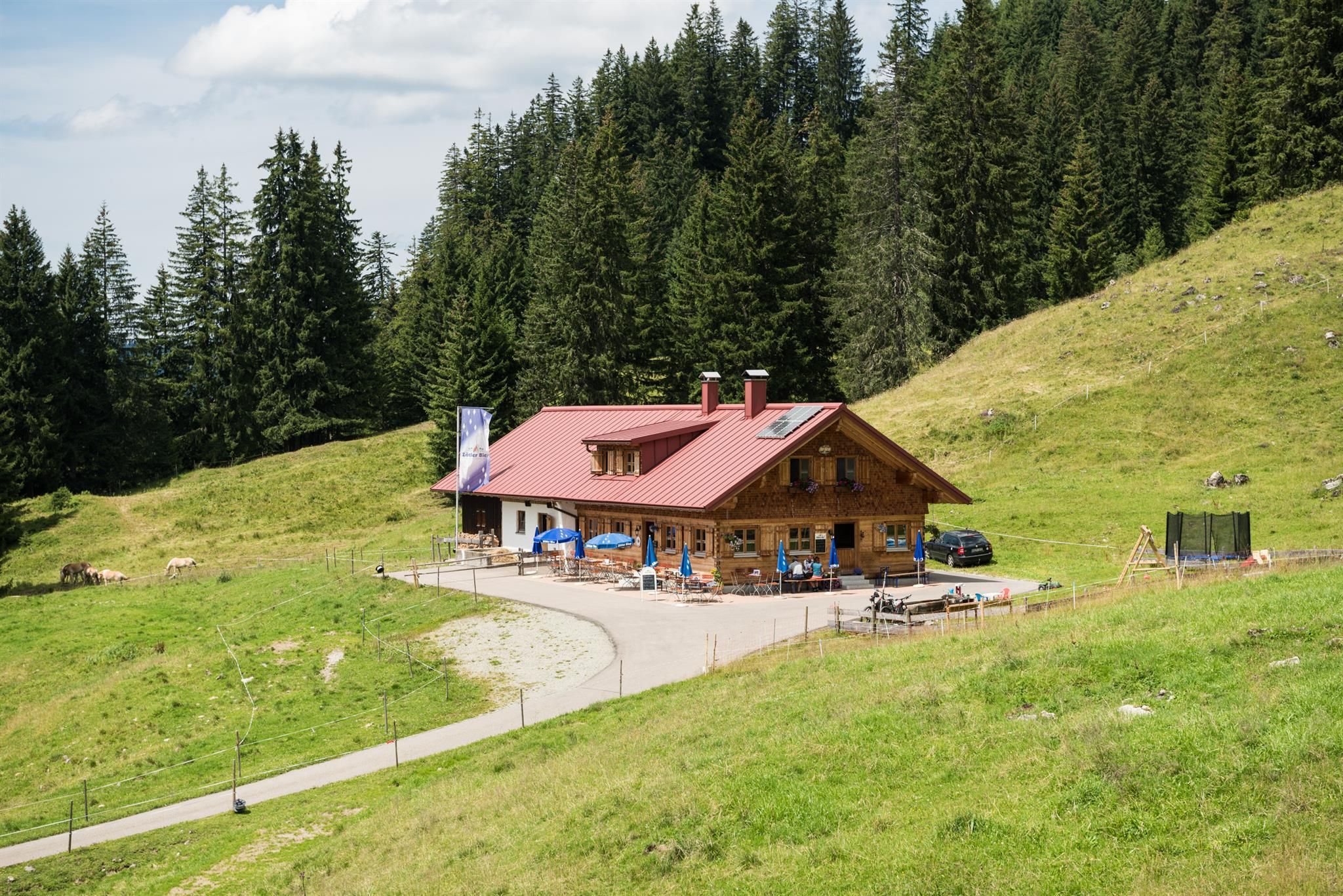 Eine Außenaufnahme zeigt die Alpe Hörnle in Obermaiselstein. Die Berghütte mit rotem Dach und hellen Holzwänden liegt auf einer grünen Almwiese.