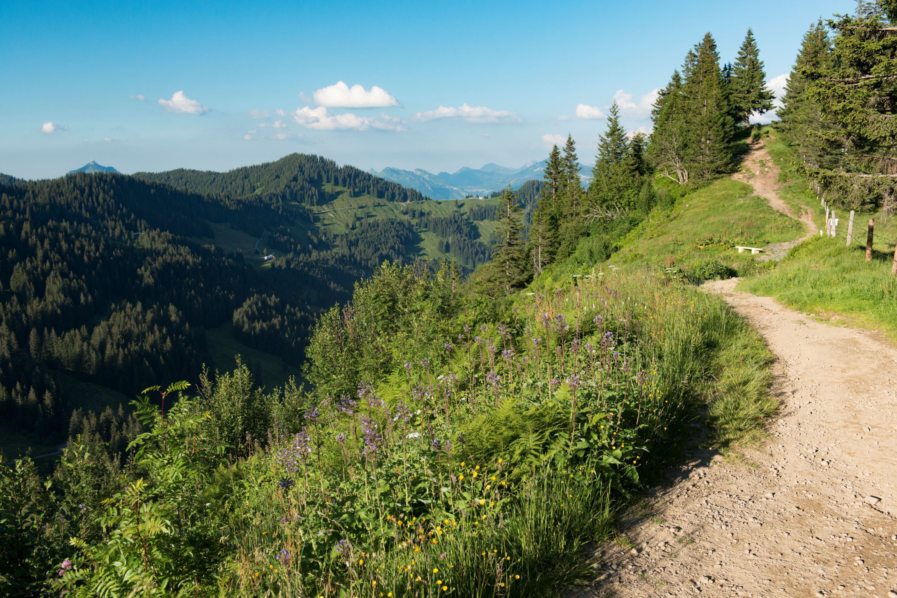 Auf dem Wanderweg zum Riedberger Horn