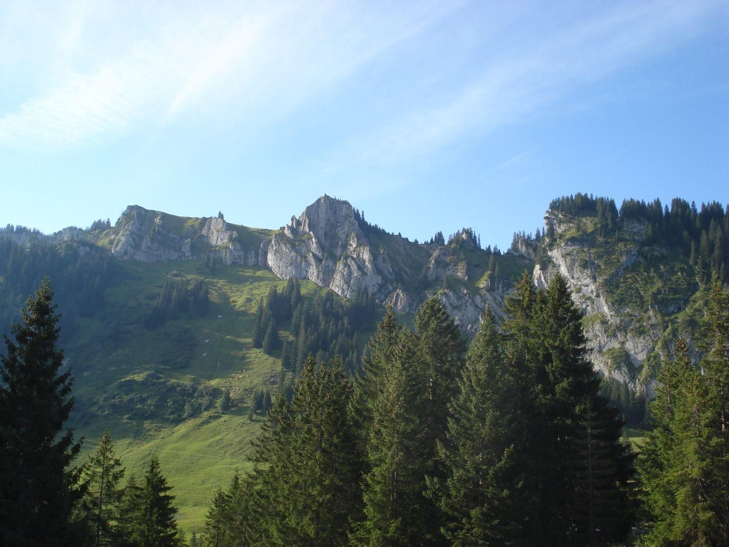 Gezackte Felswände erheben sich über bewaldeten Hängen. Eine Baumreihe im Vordergrund.
