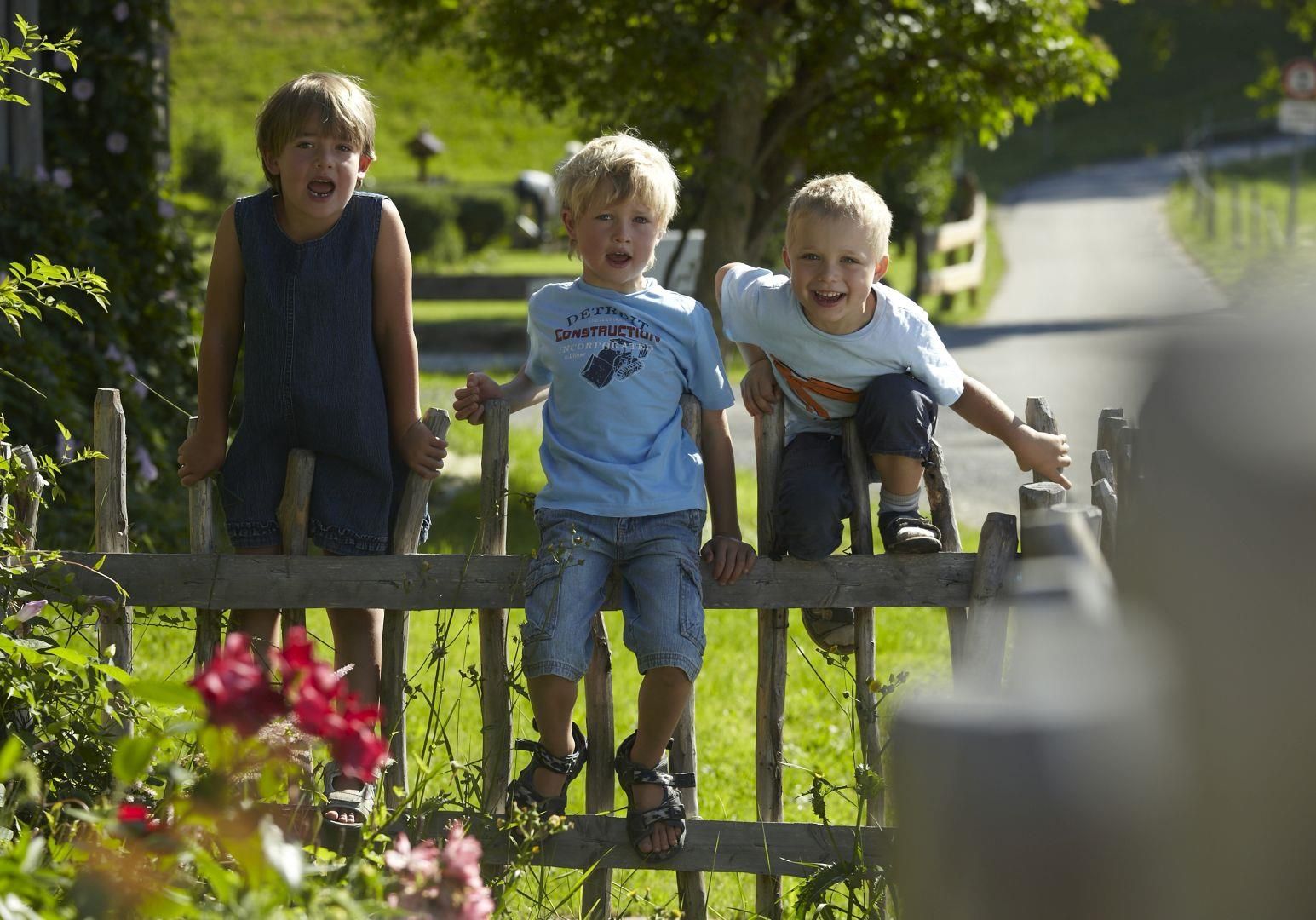 Drei lachende Kinder sitzen auf einem Holzzaun. Zwei Jungen und ein Mädchen, im Hintergrund Natur.
