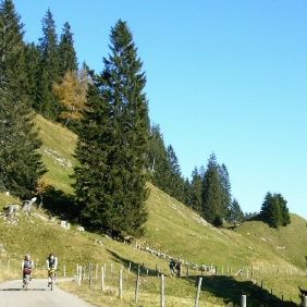 Radler auf einer Strecke entlang der Berge
