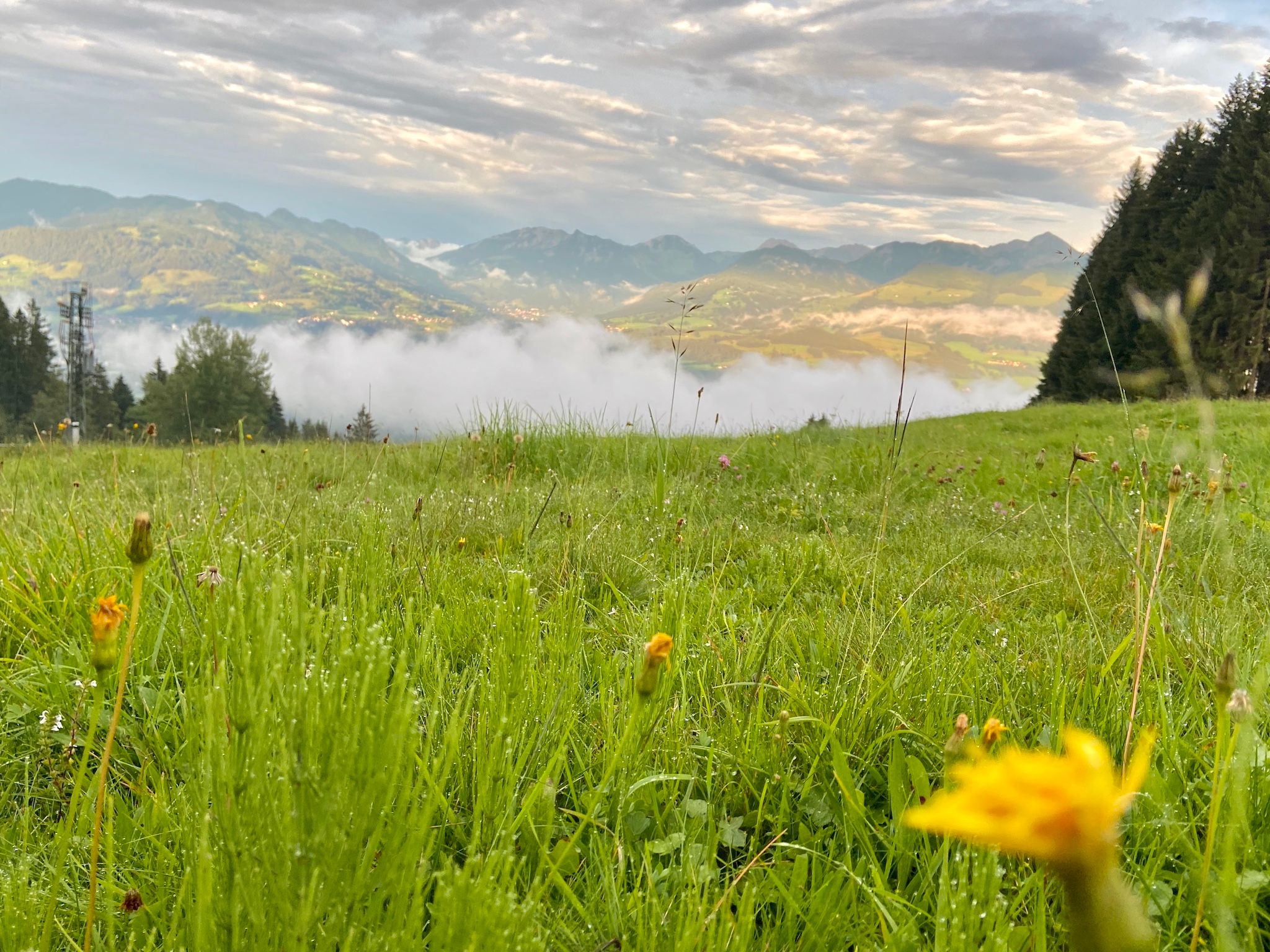 Ausblick auf tiefliegenden Nebel und die Alpen