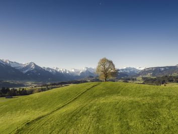 Blick auf die Wittelsbacher Höhe