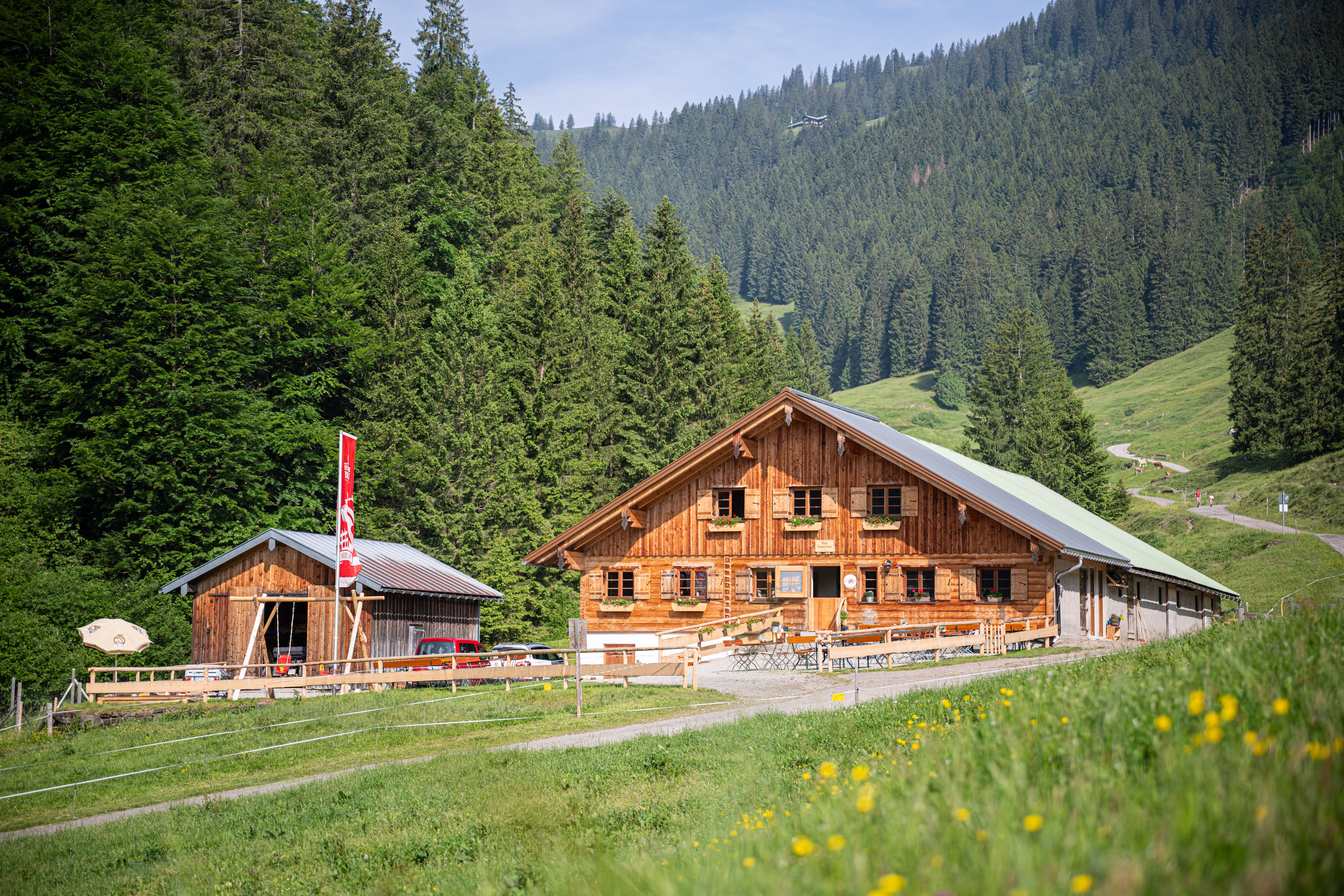 Alpe Zunkleiten im Bolgental