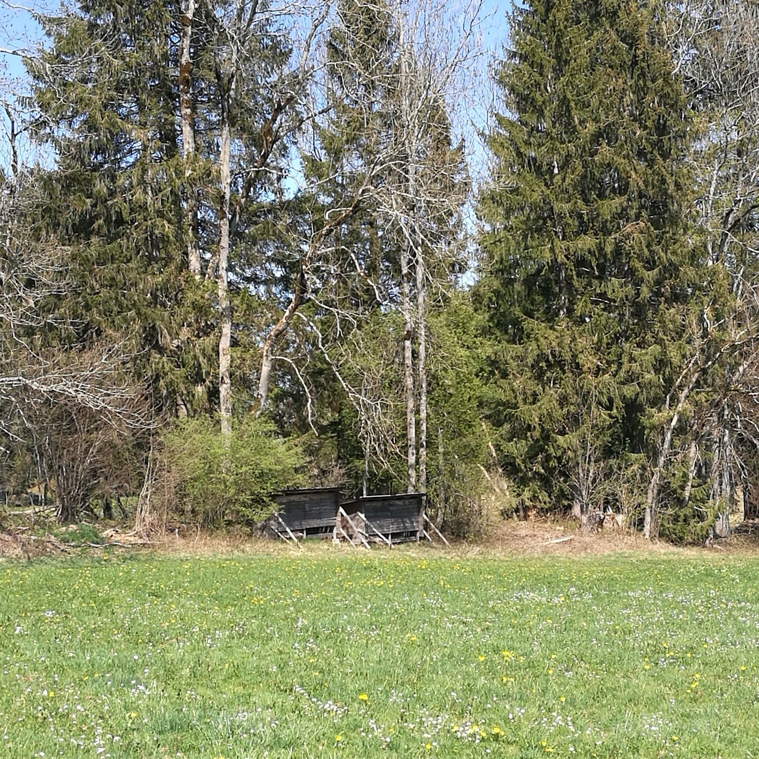 Bienenstöcke bei Bolsterlang