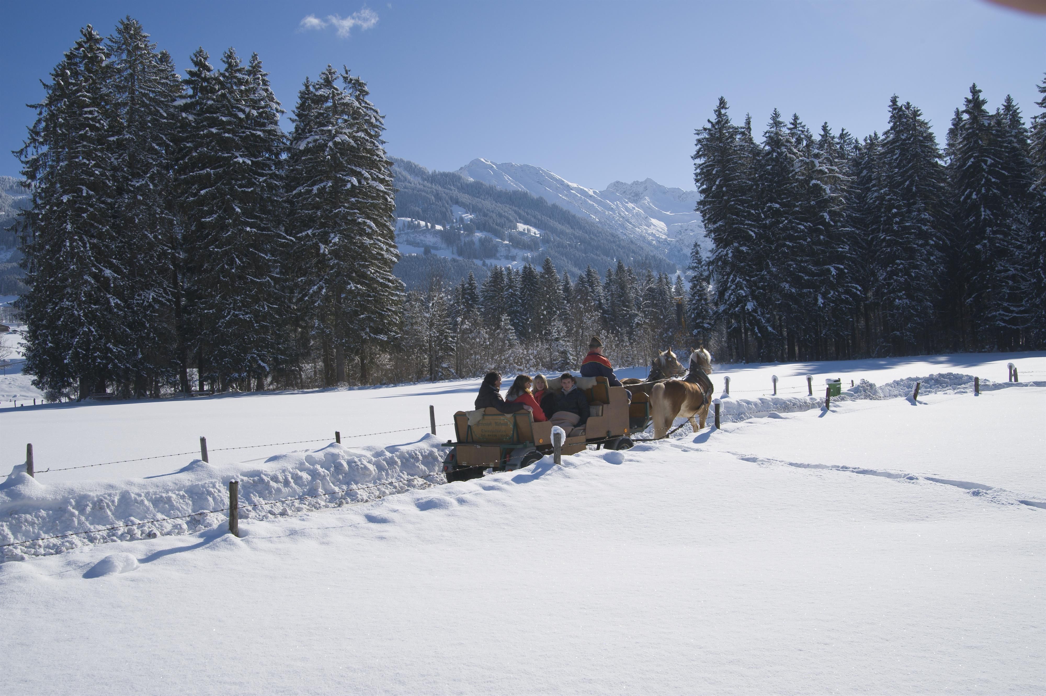 Eine Kutsche, von zwei Haflingerpferden gezogen, fährt durch eine tief verschneite Landschaft, große Fichten, blauer Himmel.