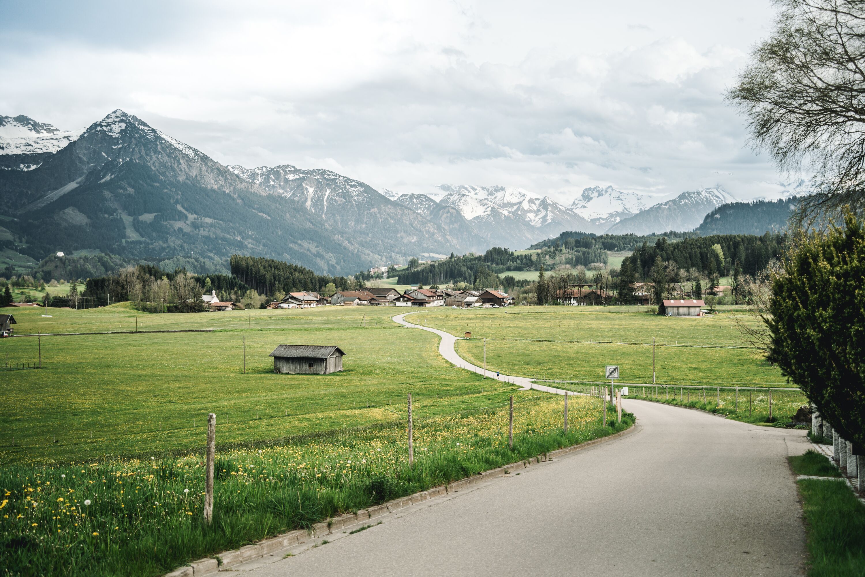 Straße über Wiesen bei Dietrichs mit Blick auf Allgäuer Hauptkamm