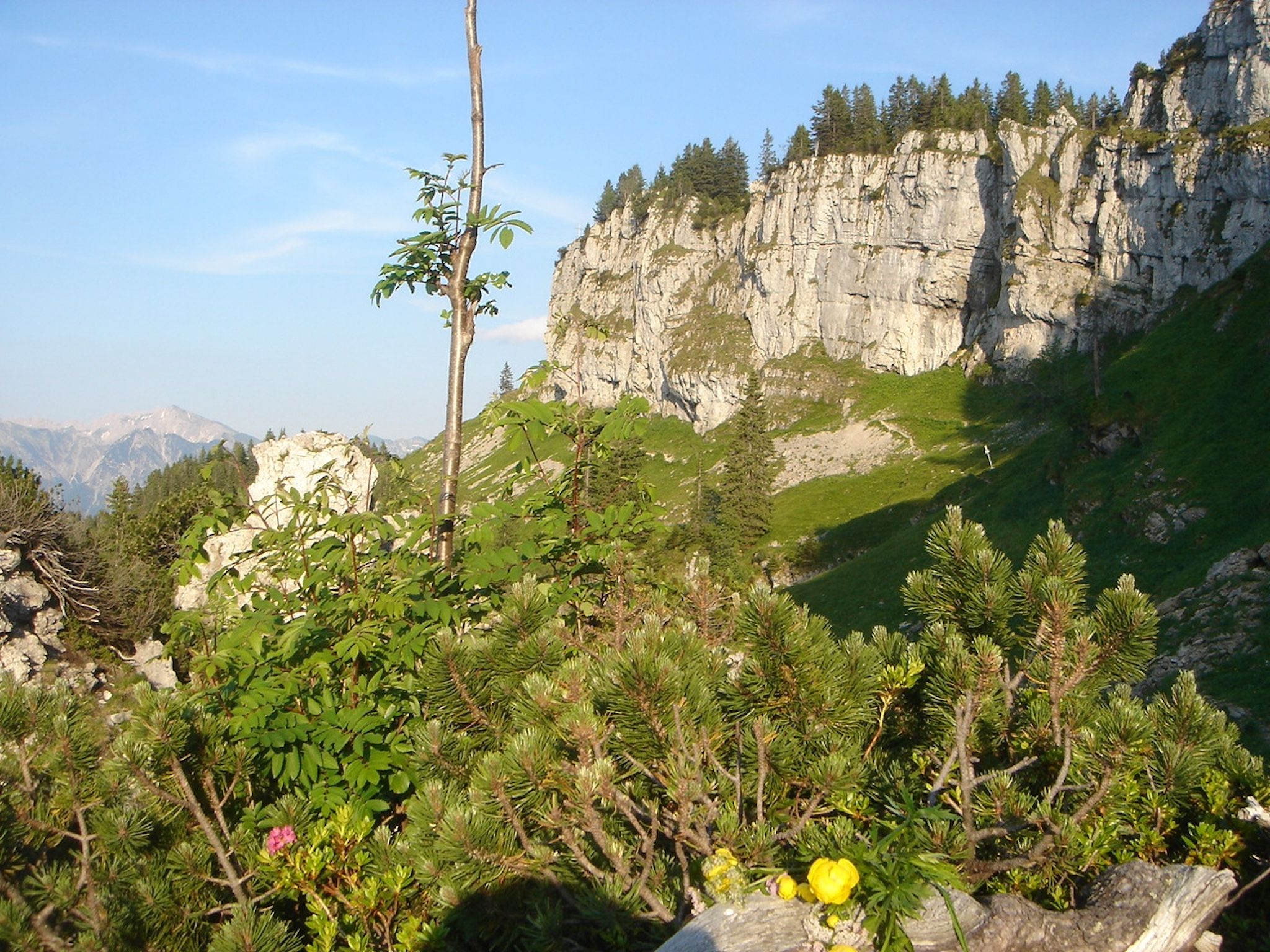 Der markante Gipfel des Besler bei Obermaiselstein