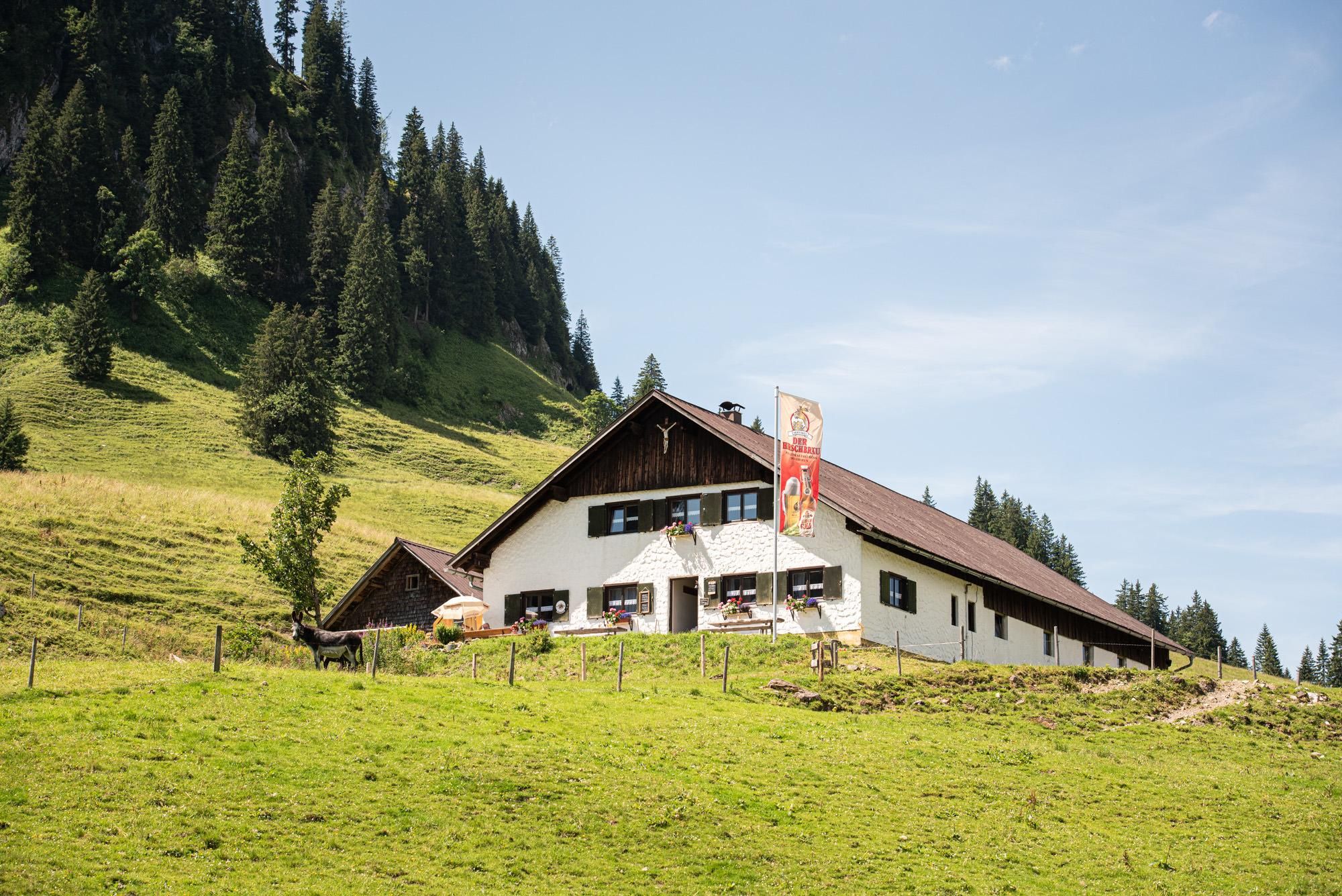 Eine traditionelle Alpe auf einer grünen Wiese, umgeben von Bergen und Wäldern. Der Himmel ist klar und blau.