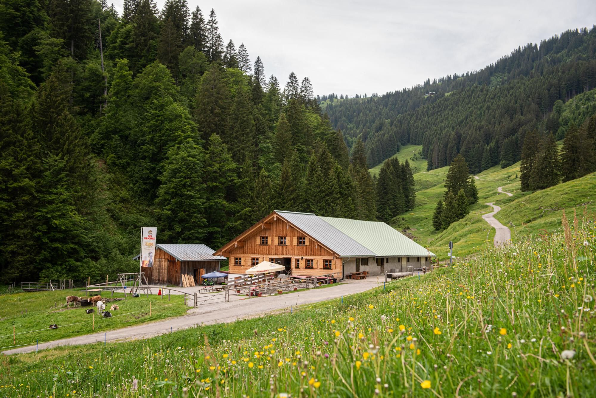 Eine charmante Almhütte umgeben von grünen Wiesen und hohen Bergen. Der Weg führt sanft durch die Landschaft.