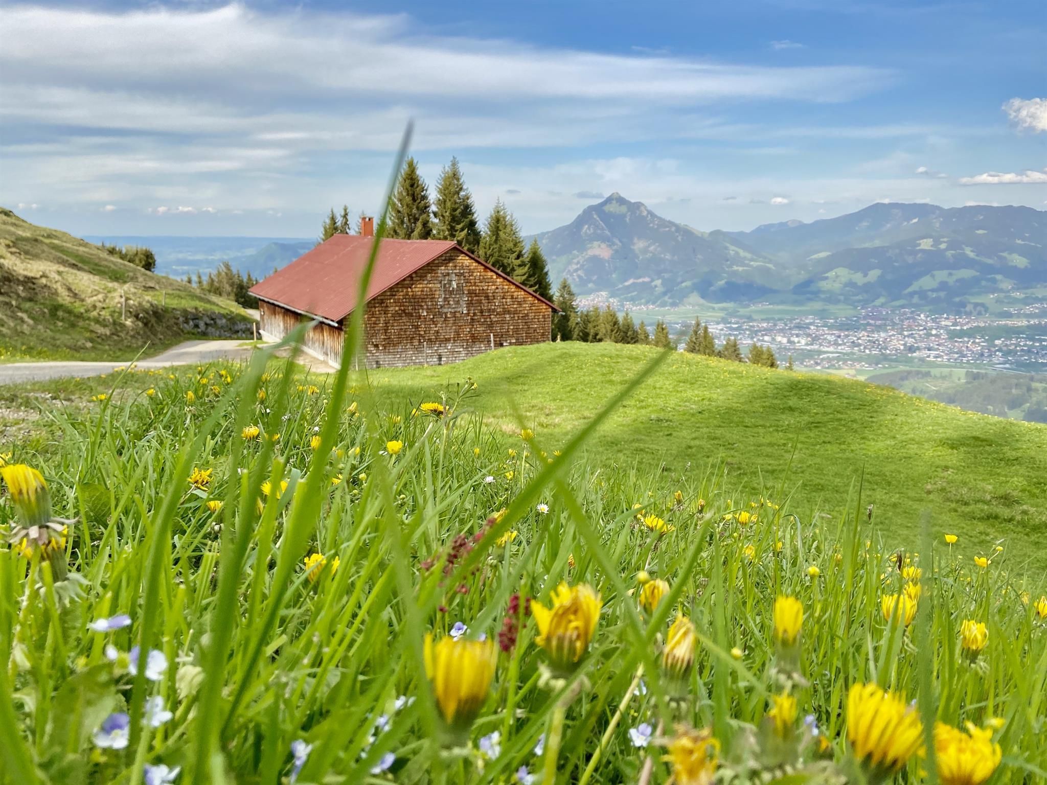 Blühende Bergwiese. Im Hintergrund ein hölzernes Gebäude mit rotem Dach, Tannenbäume und eine weite Berglandschaft.