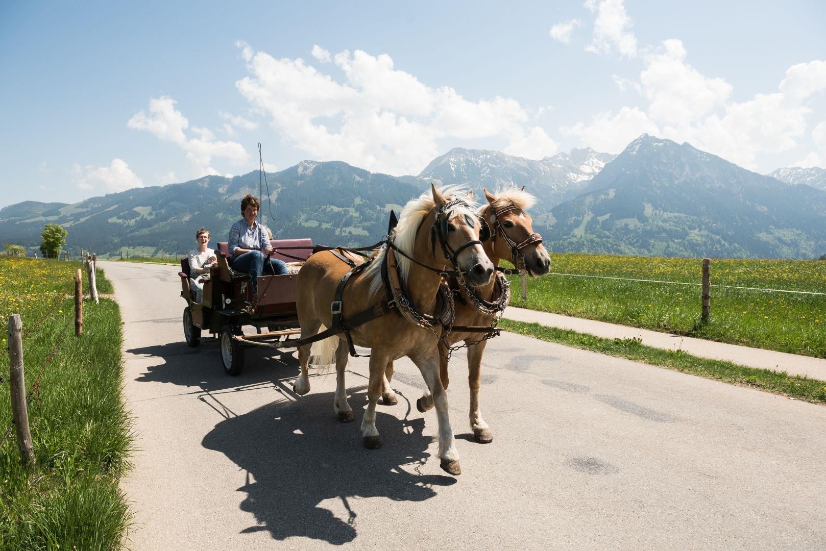 Eine braune Pferdekutsche mit zwei Personen fährt auf einer asphaltierten Straße, umgeben von grünen Wiesen und Bergen unter blauem Himmel.