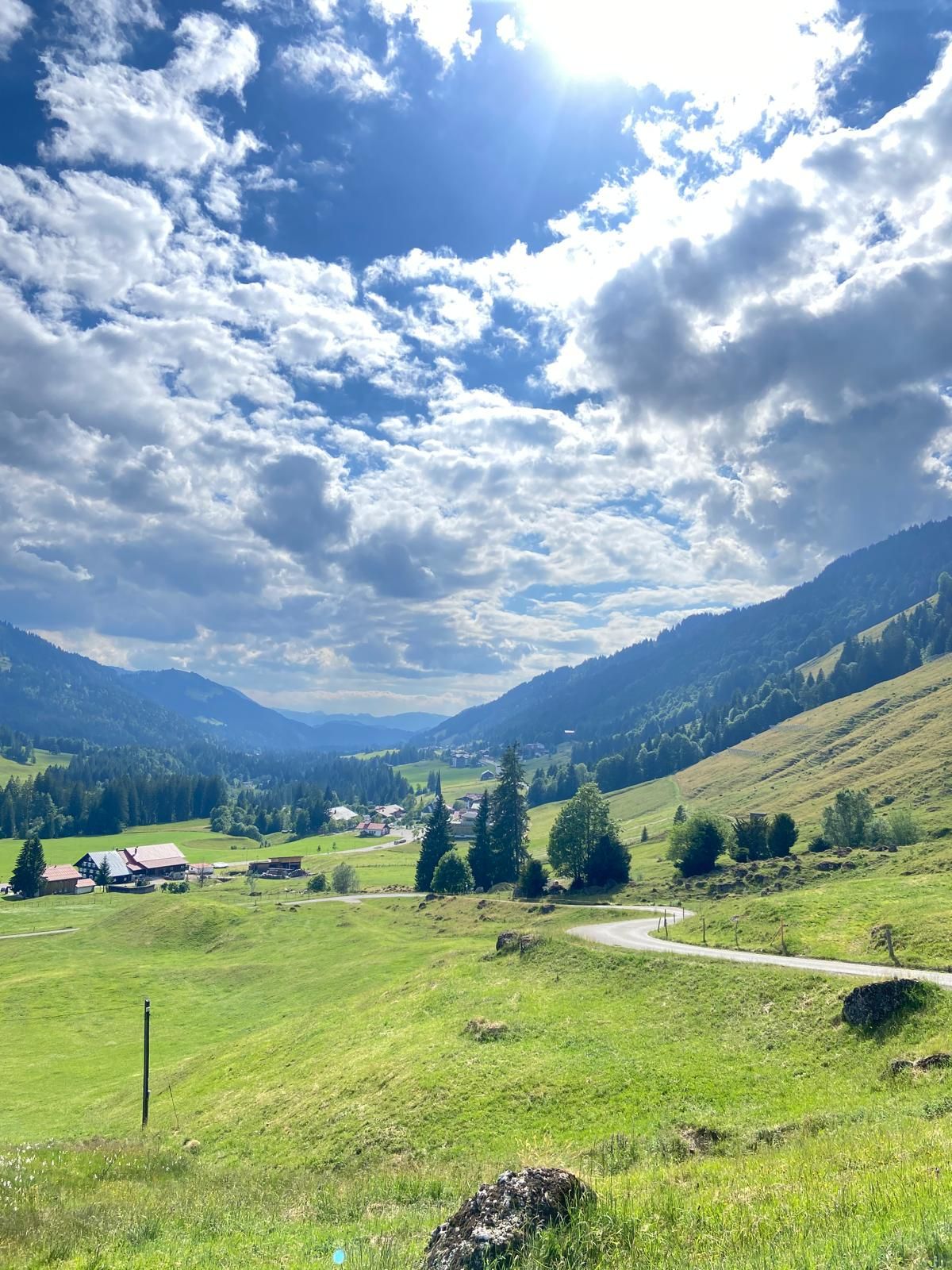 Blick auf Balderschwang von der 2000-jährigen Eibe