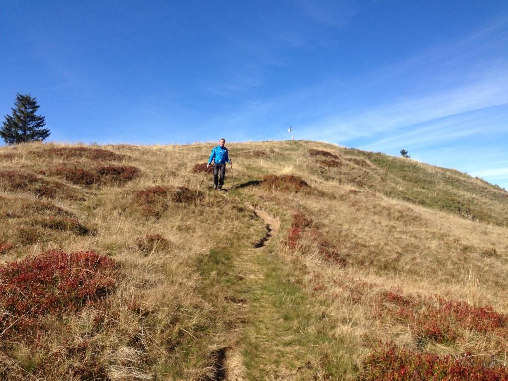 Wanderung oberhalb von Balderschwang