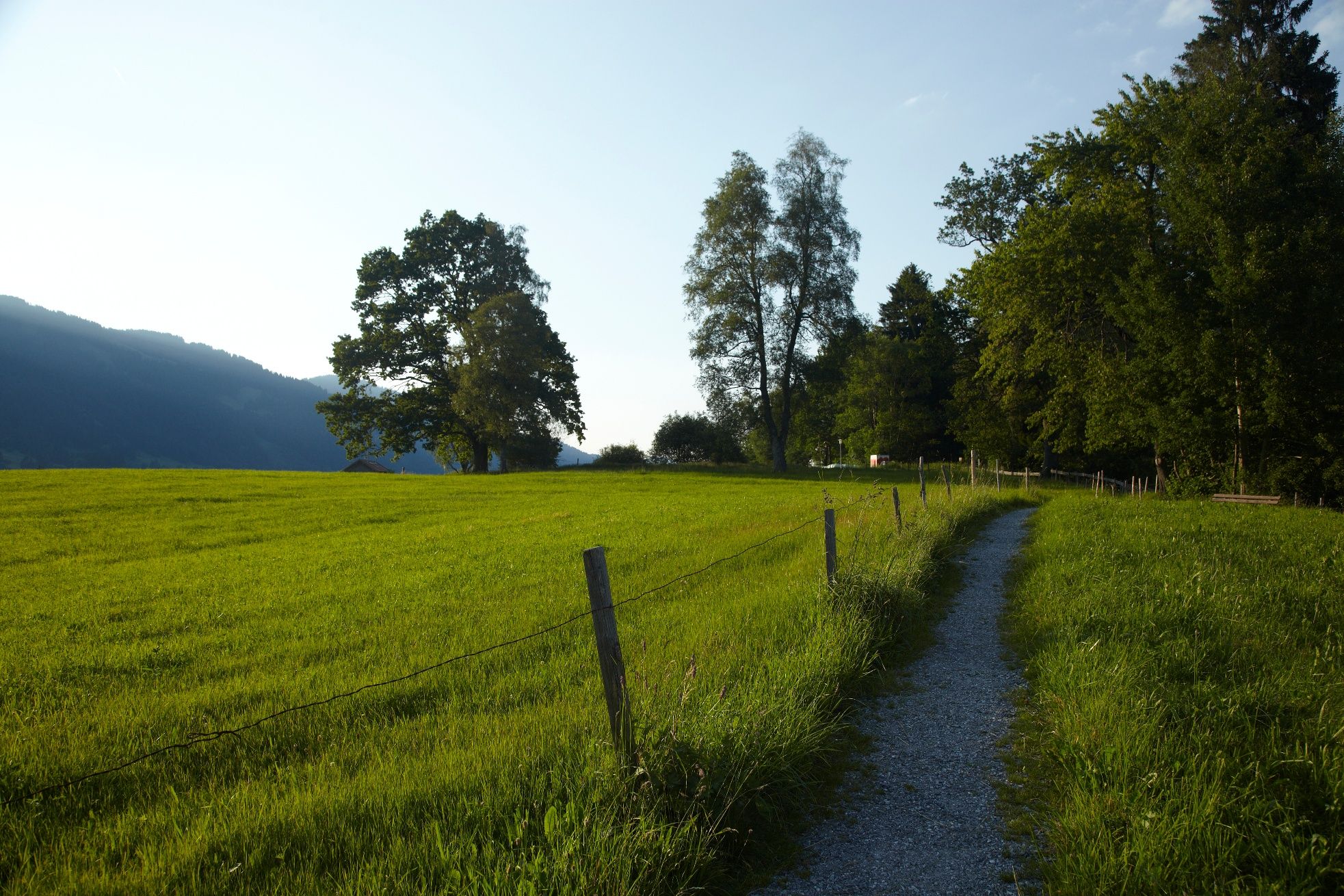 Weg durch saftige Wiesen