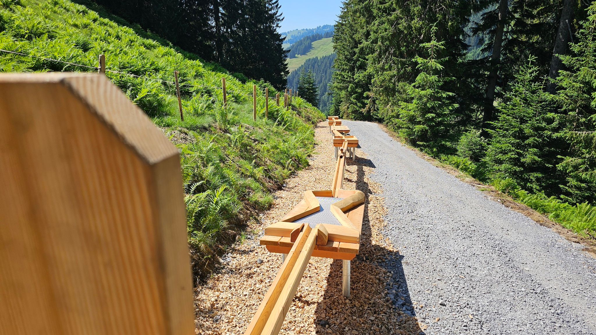 Erlebnisstation direkt an einem befestigten Wanderweg in der Erlebniswelt Raufußhuhn am Riedbergerhorn