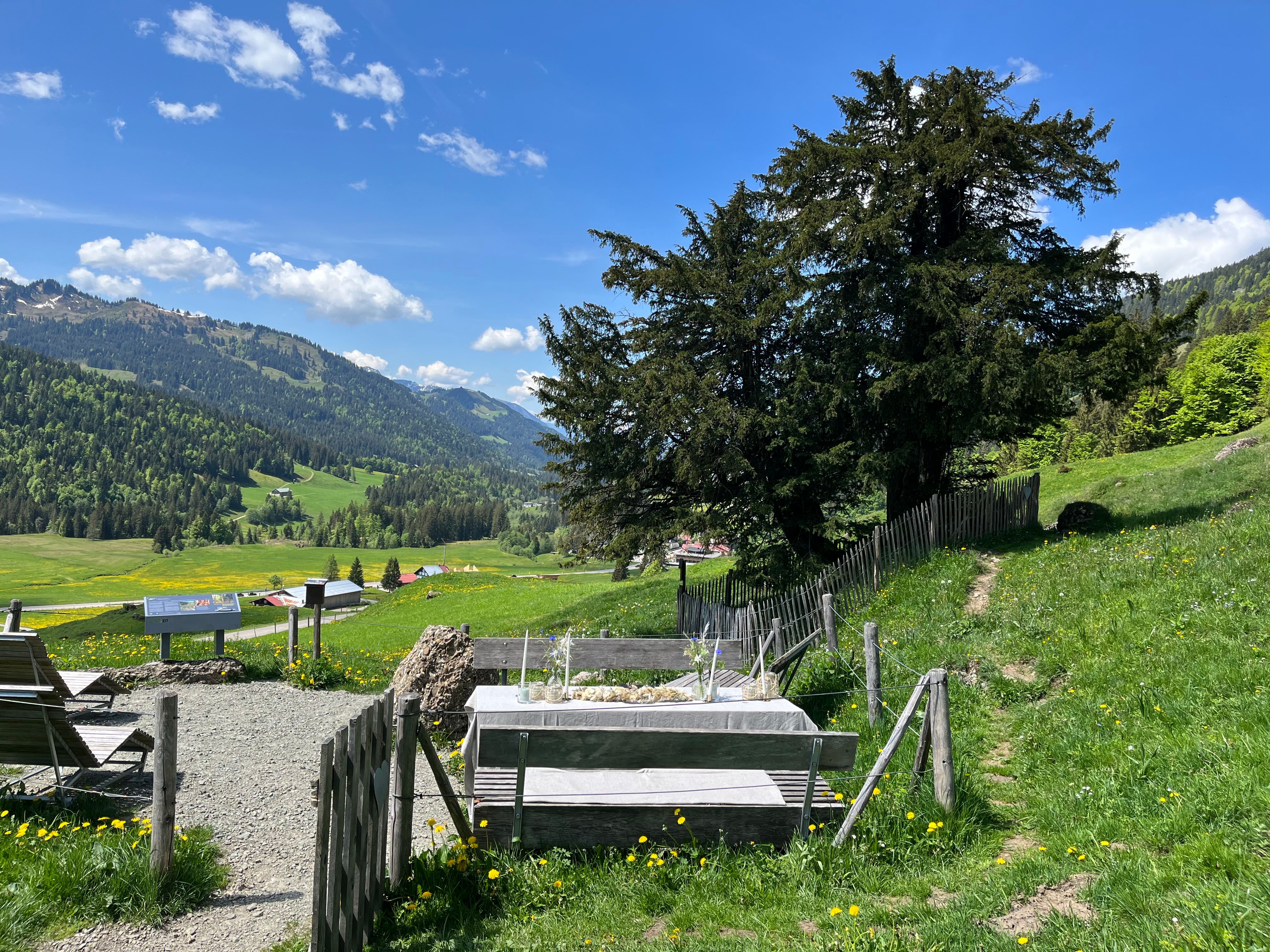 Festlich gedeckter Trautisch an der 2000-jährigen Eibe in Balderschwang unter blauem Himmel. Blick auf das Balderschwanger Tal.
