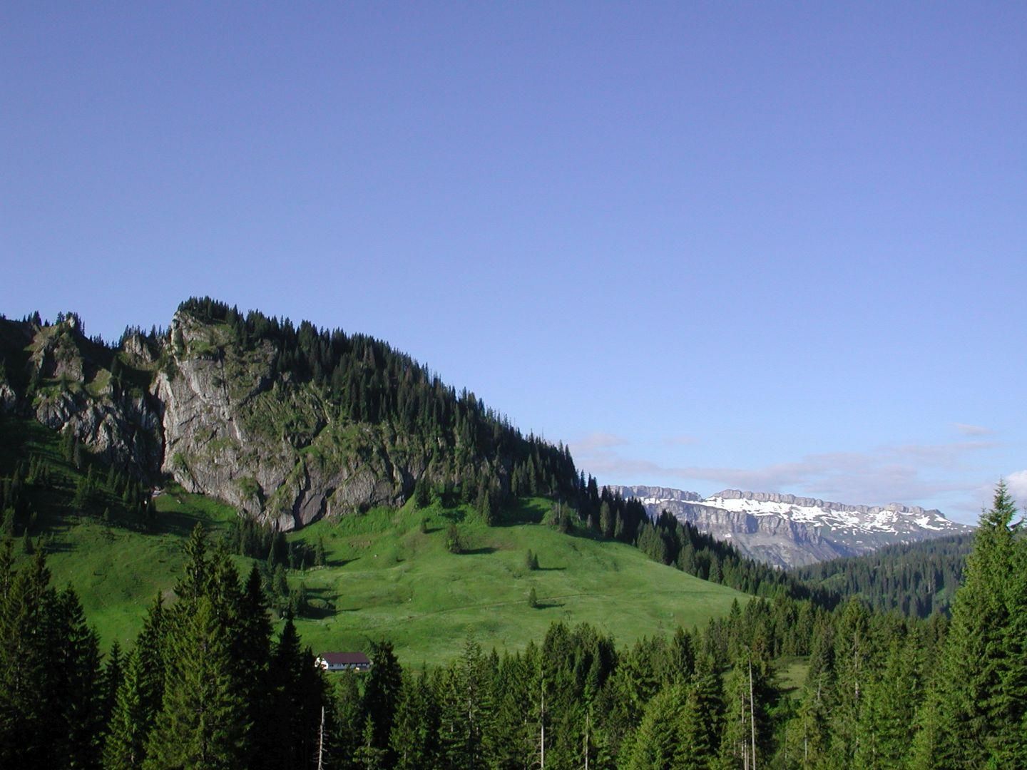 Ein bewaldeter Berg mit Felswand im Vordergrund. Dahinter eine grüne Wiese und schneebedeckte Gipfel.