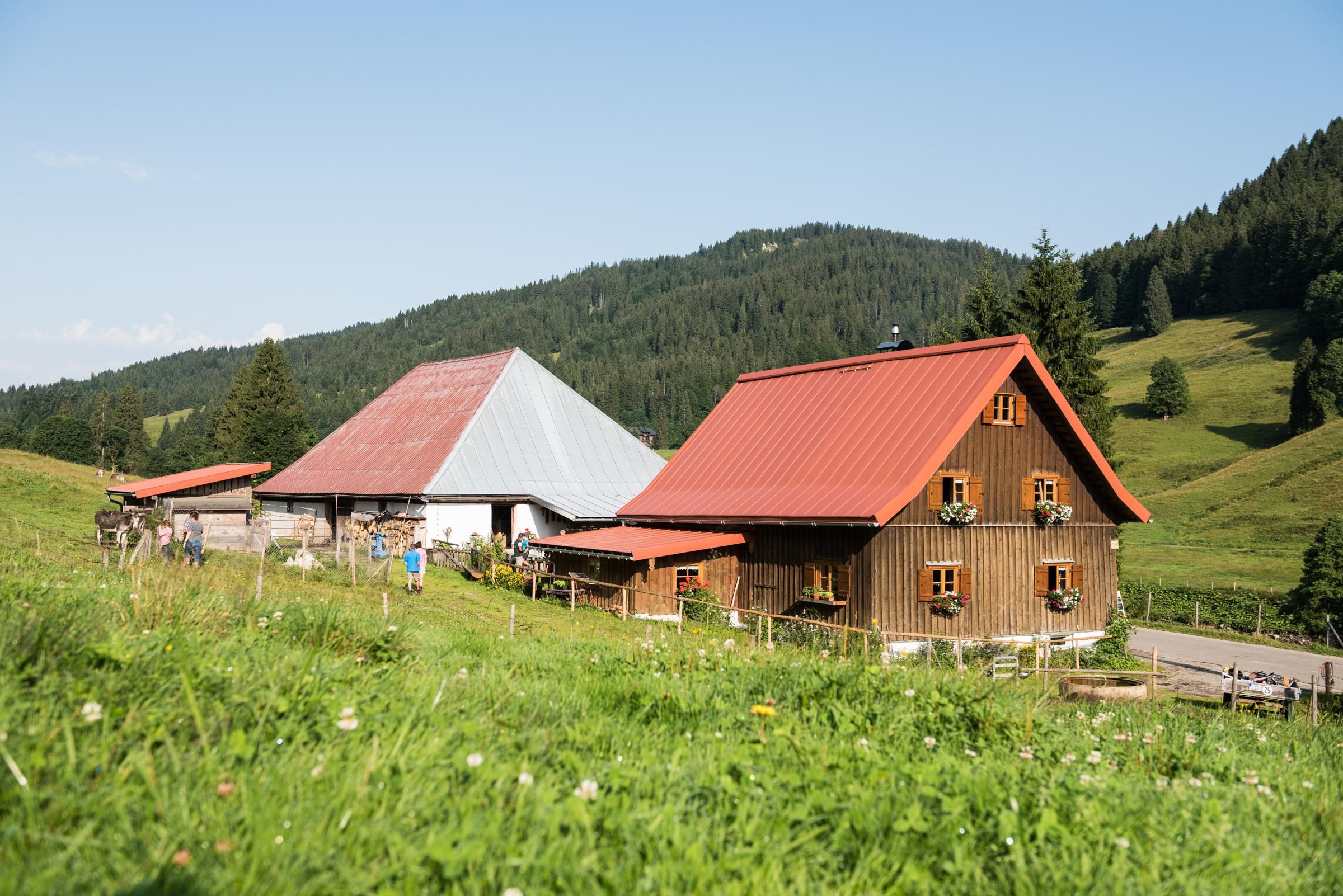 Idyllische Alpe Schattwald mit mehreren Holzhäusern. Ein großes Haus mit rotem Dach und Blumenkästen steht im Vordergrund.