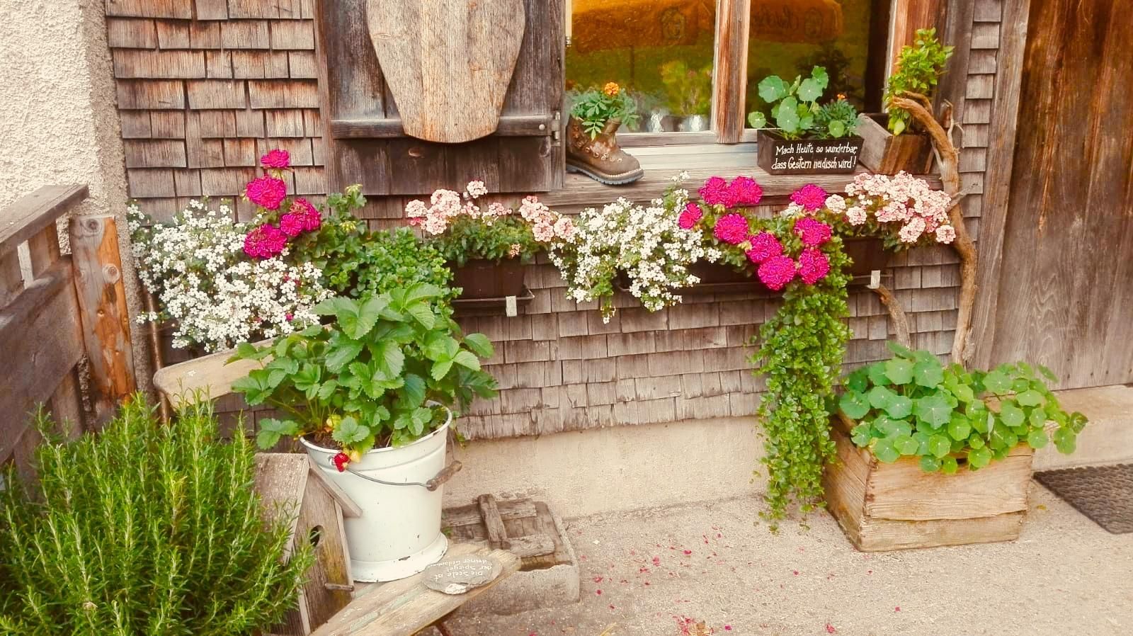 Zahlreiche Blumenkästen mit bunten Blumen schmücken das Haus.