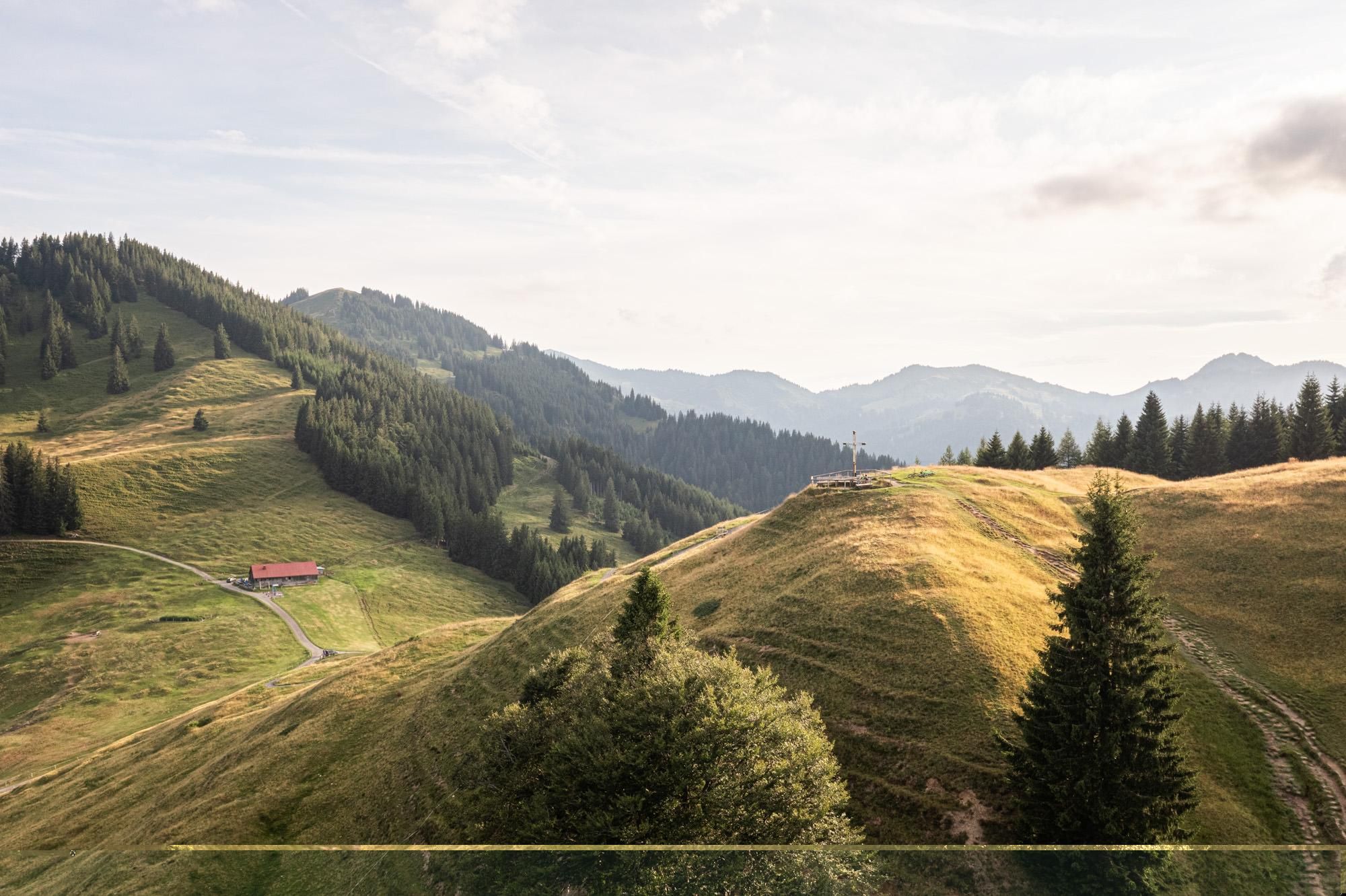 Eine sanfte Berglandschaft mit grünen Wiesen und Kiefern. Im Hintergrund sind Berge und ein bewölkter Himmel zu sehen.