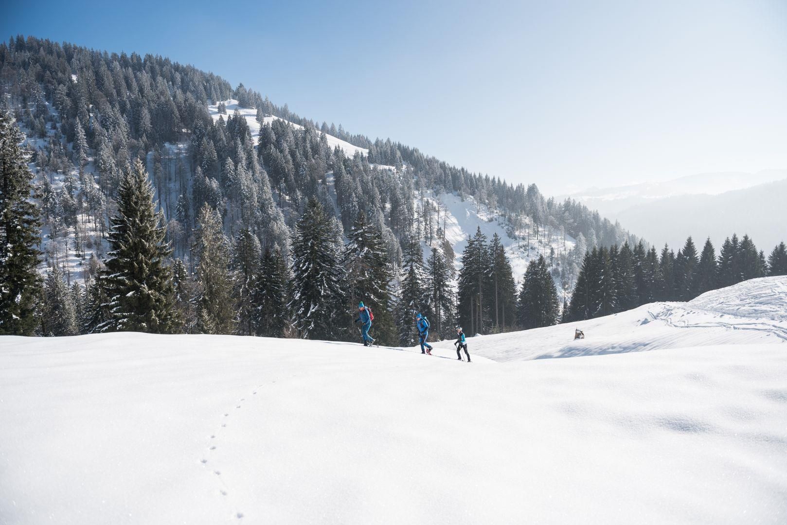 Drei Personen wandern eine Spur im Schnee hinauf, umgeben von einem verschneiten Tannenwald und Bergen.