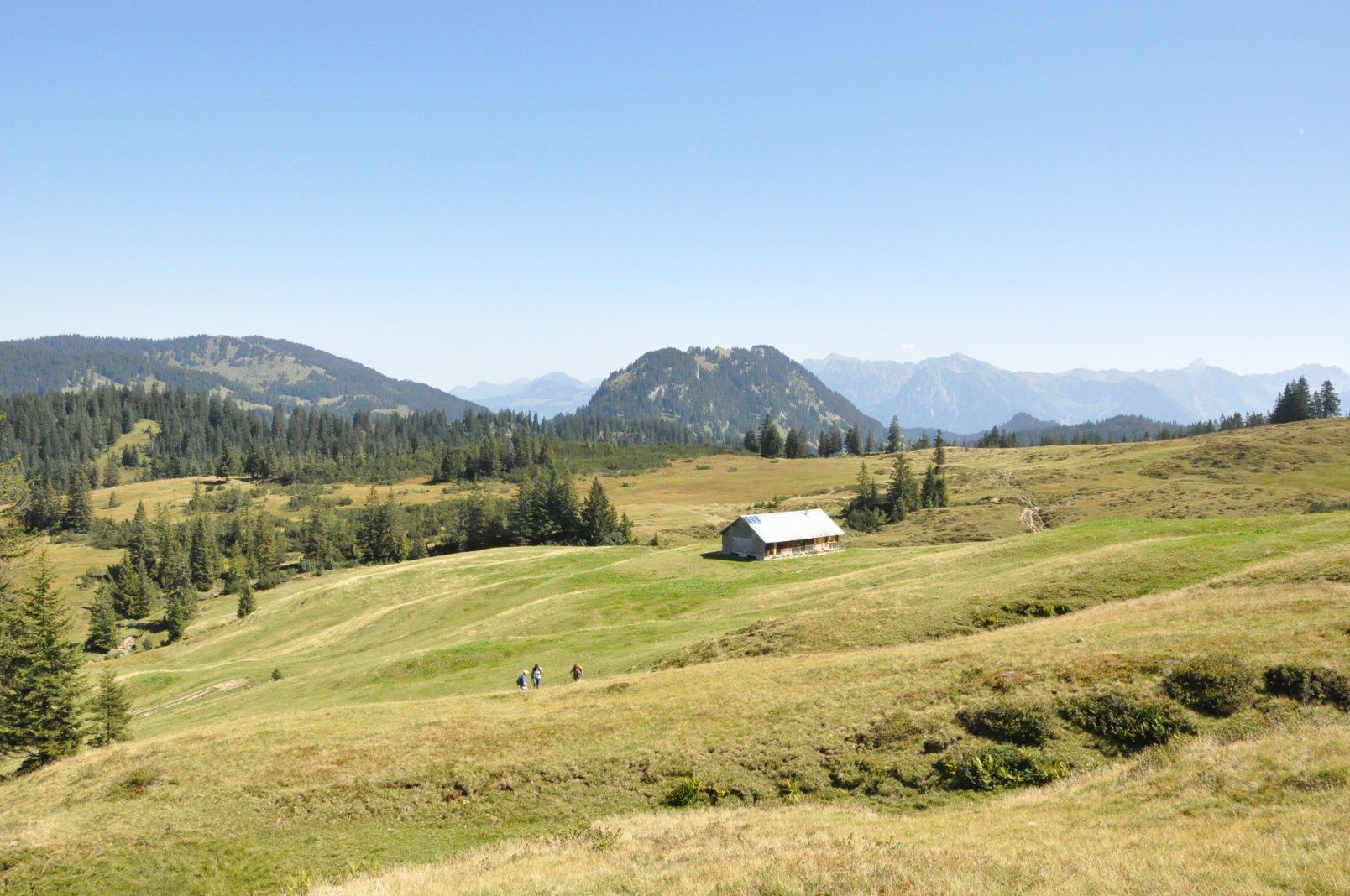 Ausblick am Piesenkopf bei Balderschwang