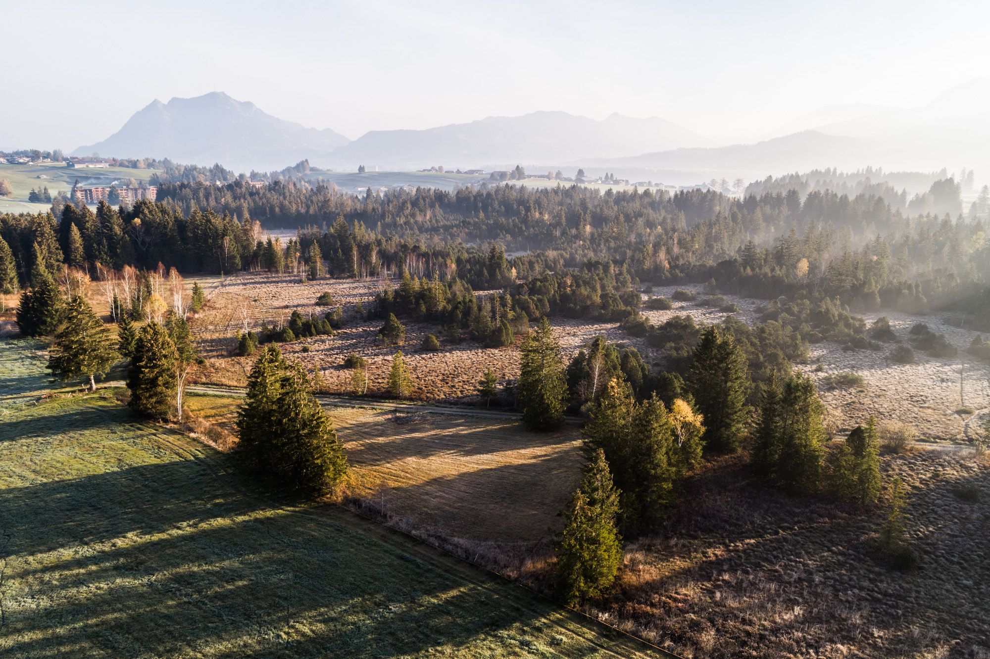 Herbst_Tiefenberger-Moos_©Tourismus-Hörnerdörfer_@F.Kjer_1388-HDR_midsize