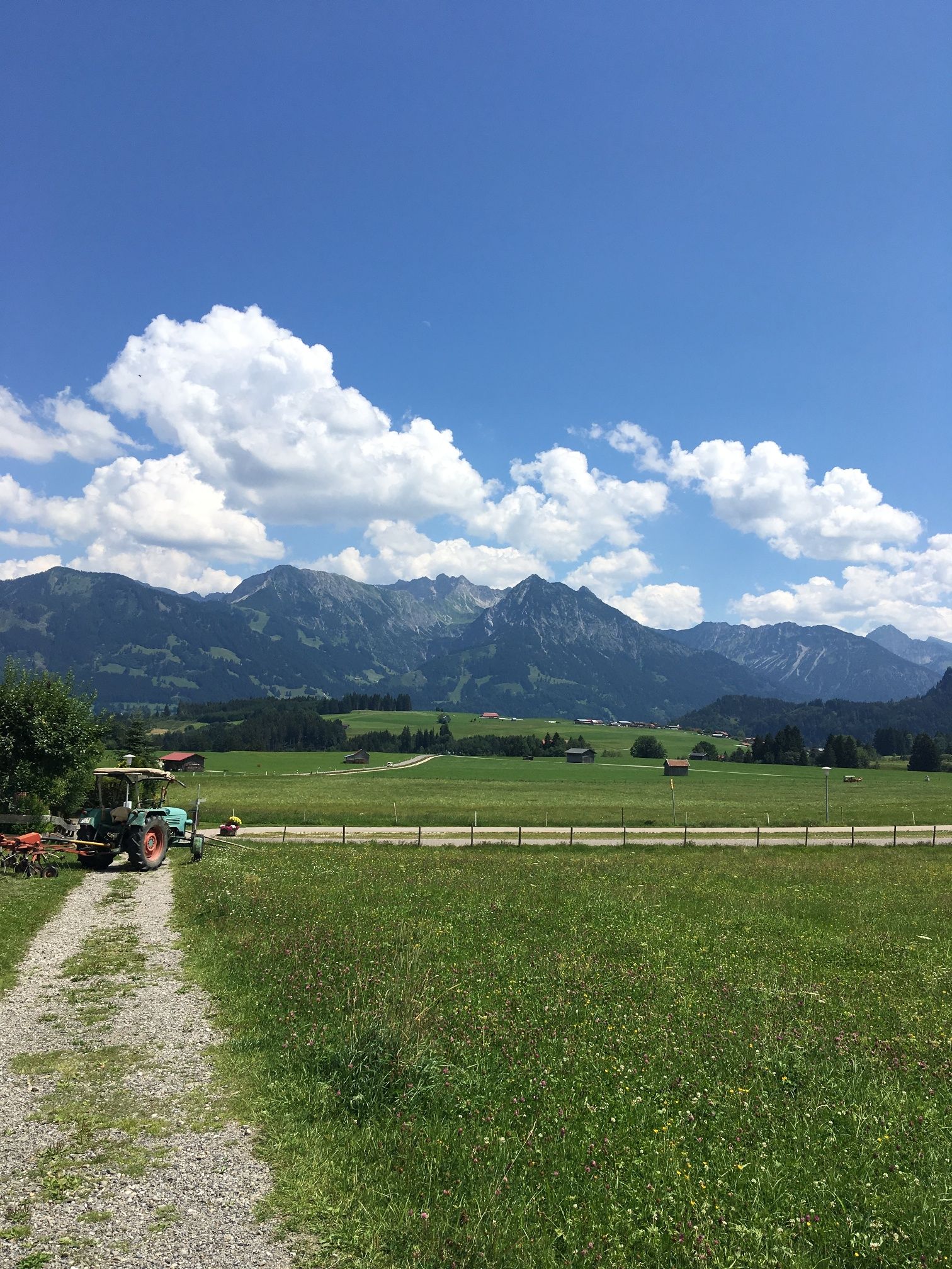 Blick auf das markante Rubihorn