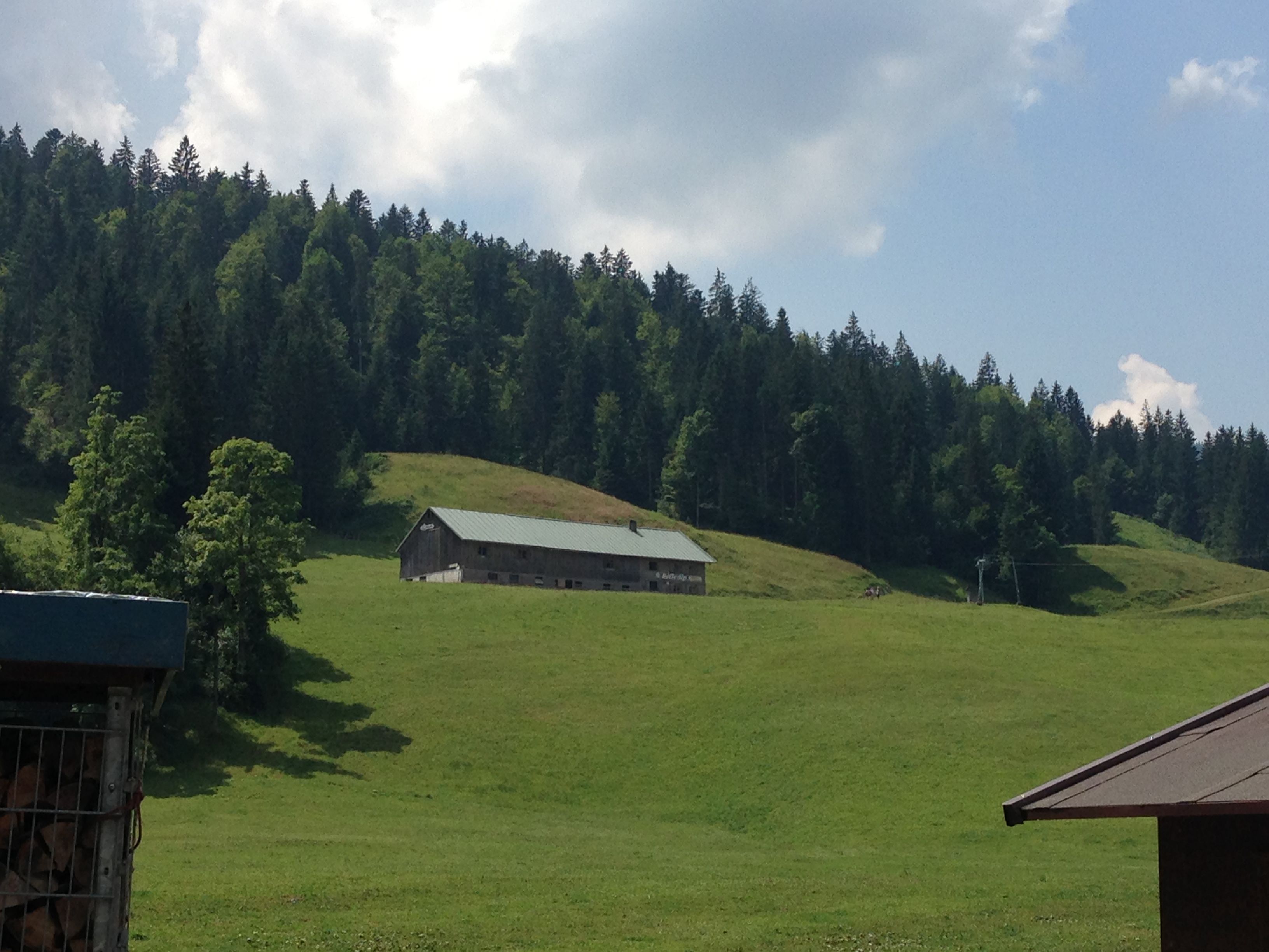 Blick zur Höfle-Alpe bei Balderschwang