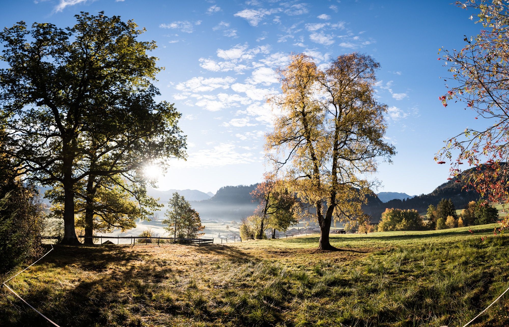 Herbstliche Spöckwiese, Ort der Besinnung in Obermaiselstein