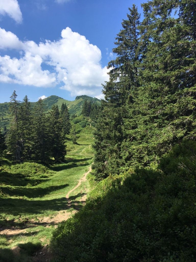 Blick auf den Wanderpfad zum Riedbergerhorn